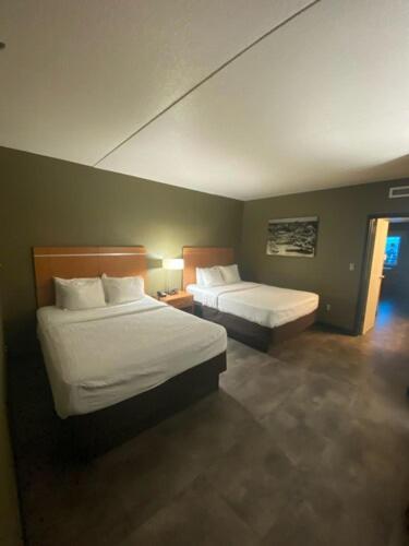 Adventureland Inn photo 2