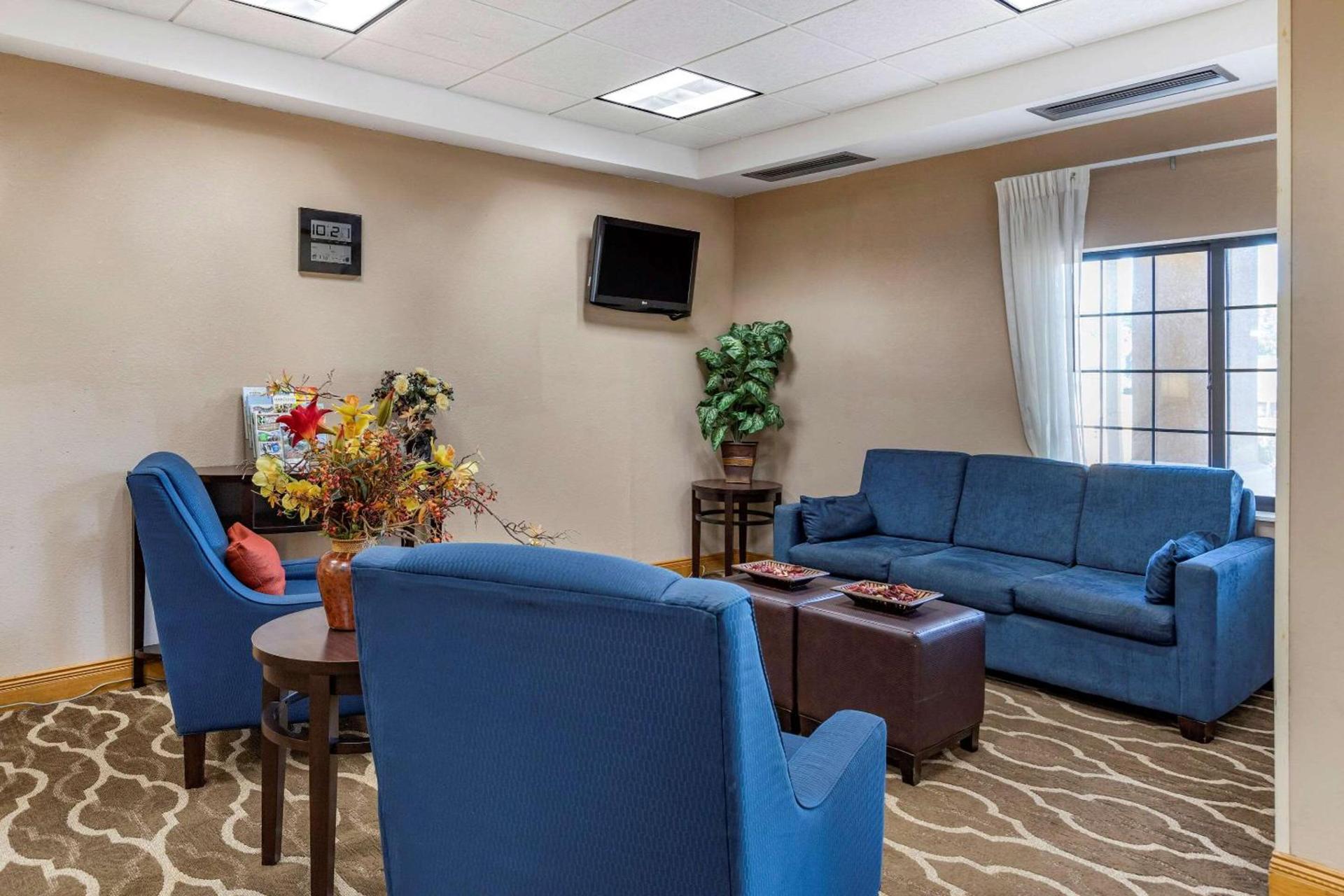 Comfort Inn Downtown - University Area photo 3