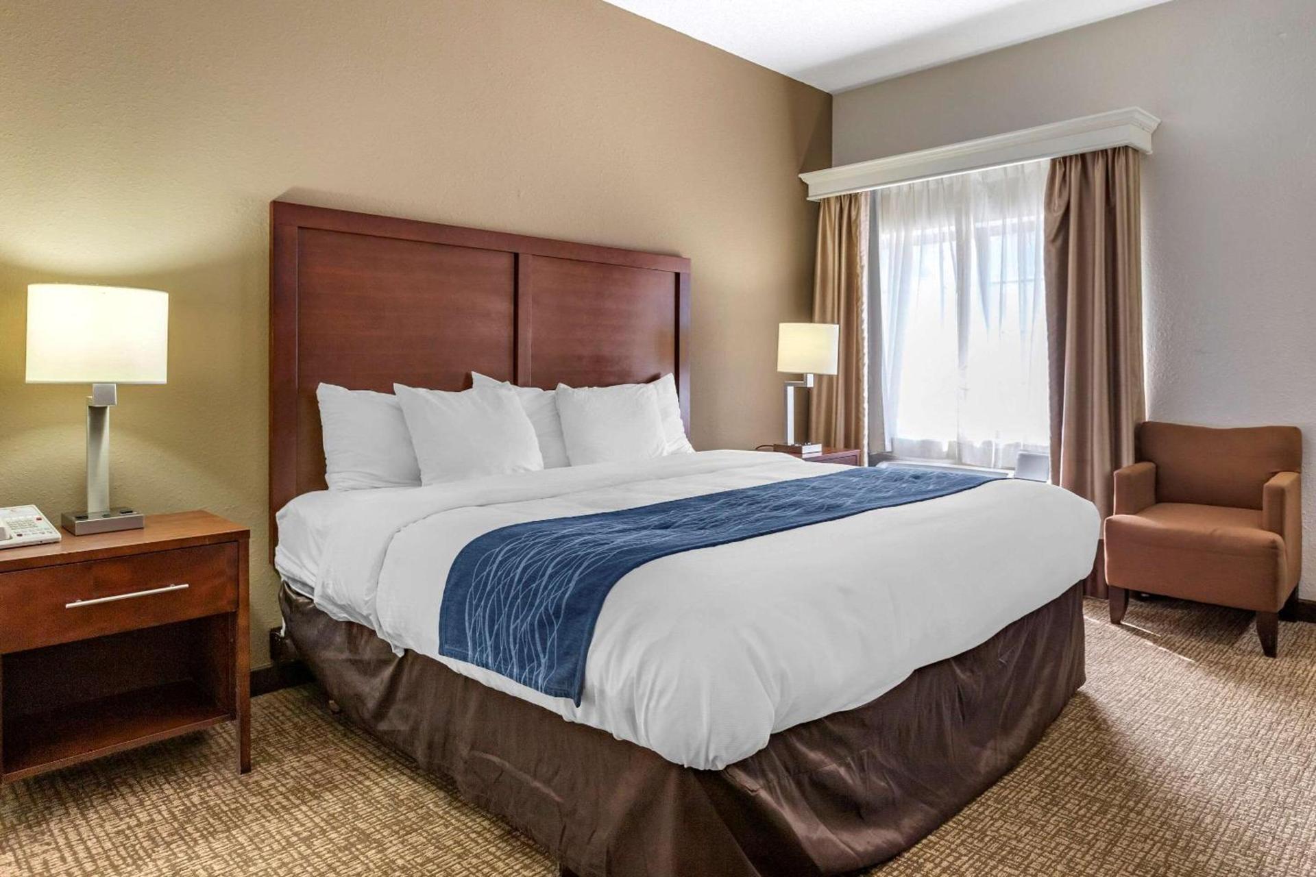 Comfort Inn Downtown - University Area photo 8