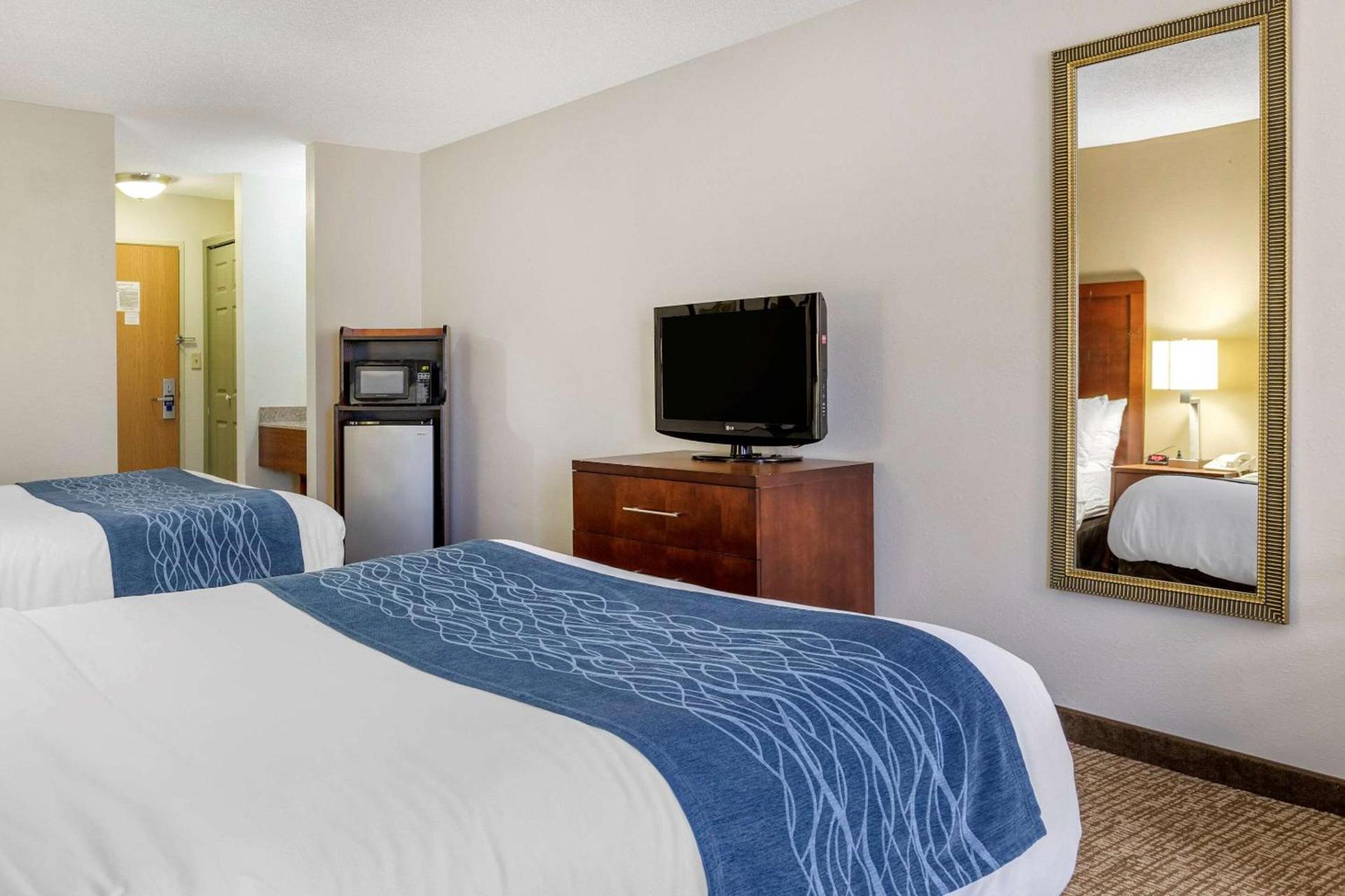 Comfort Inn Downtown - University Area photo 13
