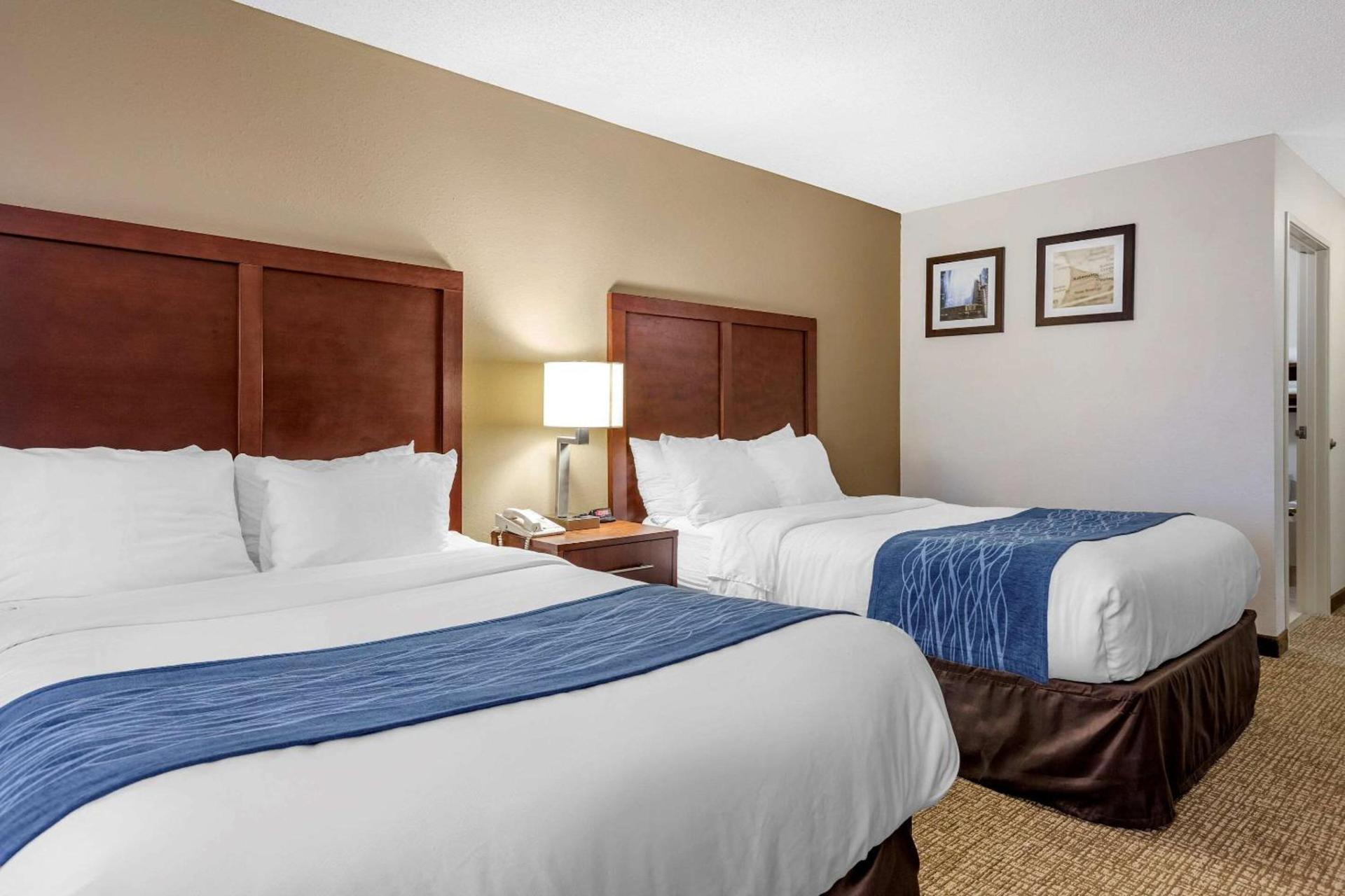 Comfort Inn Downtown - University Area photo 14