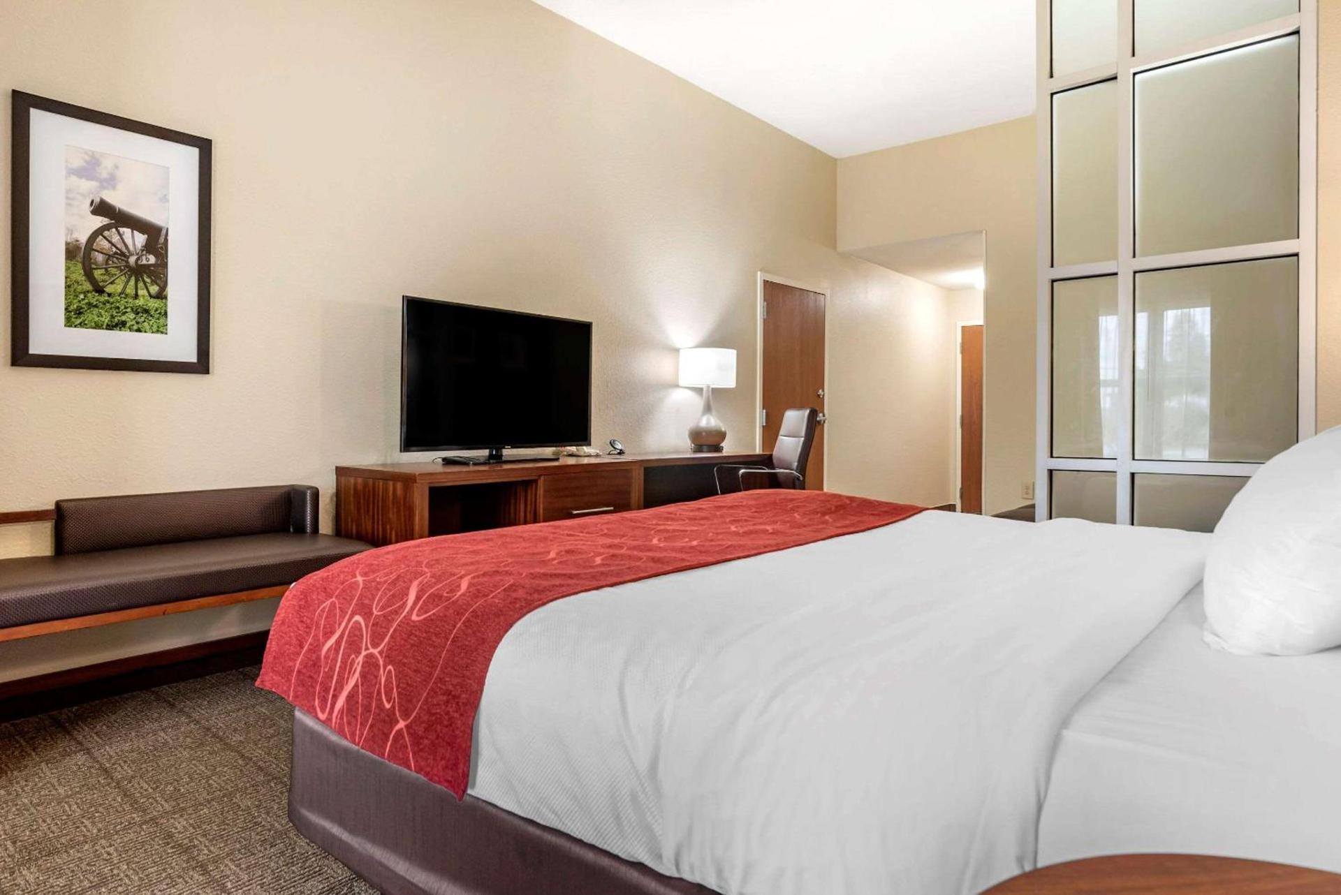 Comfort Suites Vicksburg photo 29