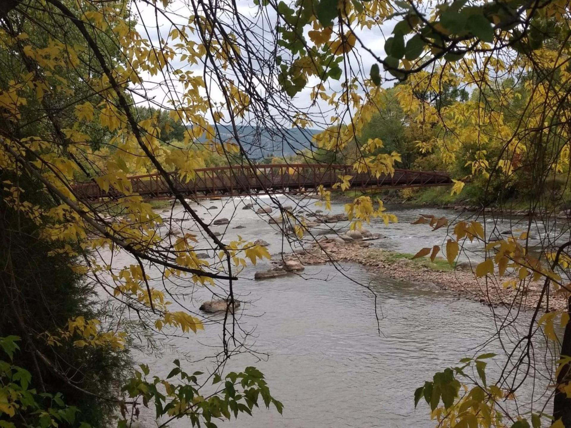 Holiday Inn Express Durango Downtown- Animas River photo 56