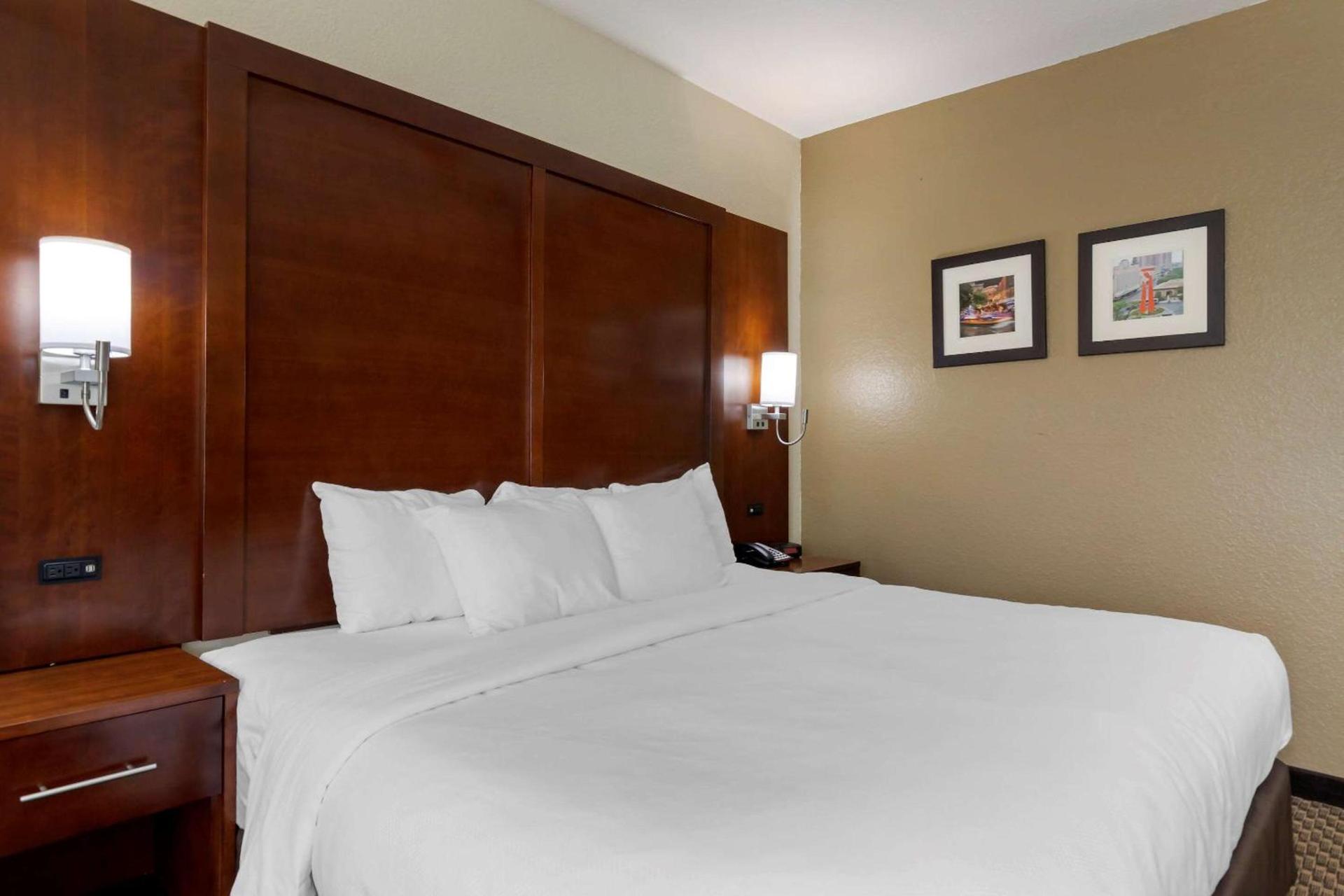 Comfort Inn & Suites Near Six Flags & Medical Center photo 9