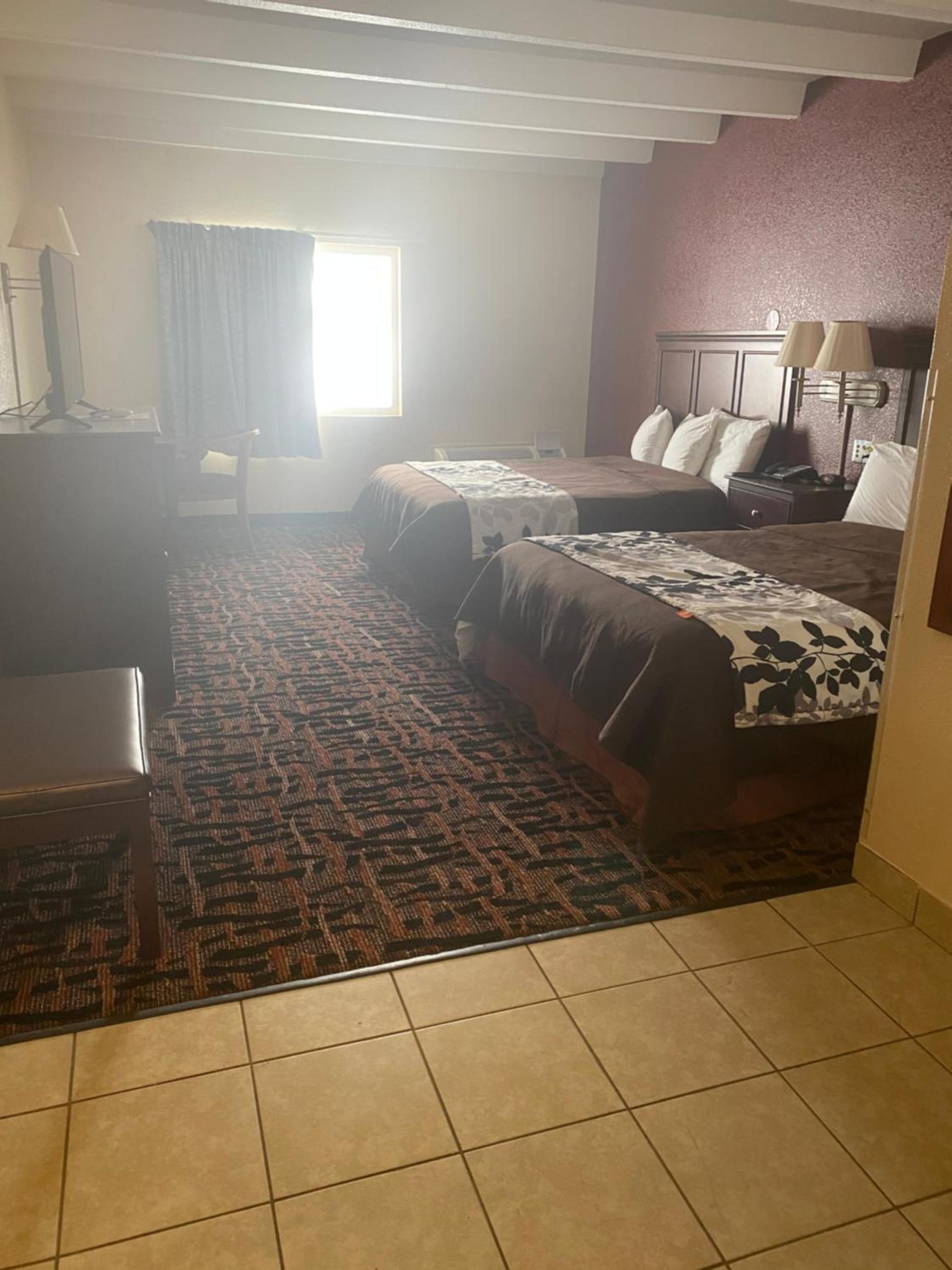 Executive Inn photo 14