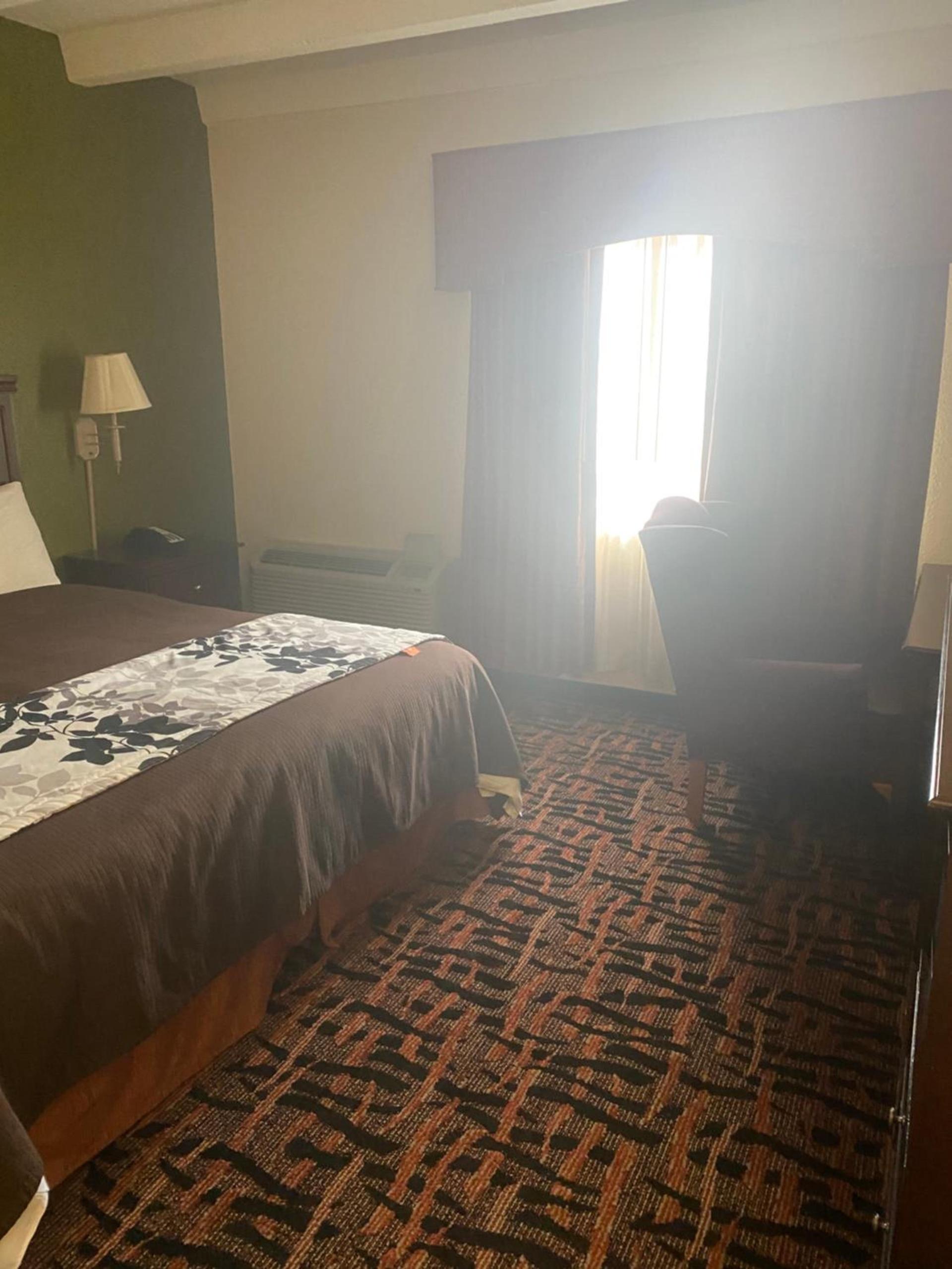 Executive Inn photo 15