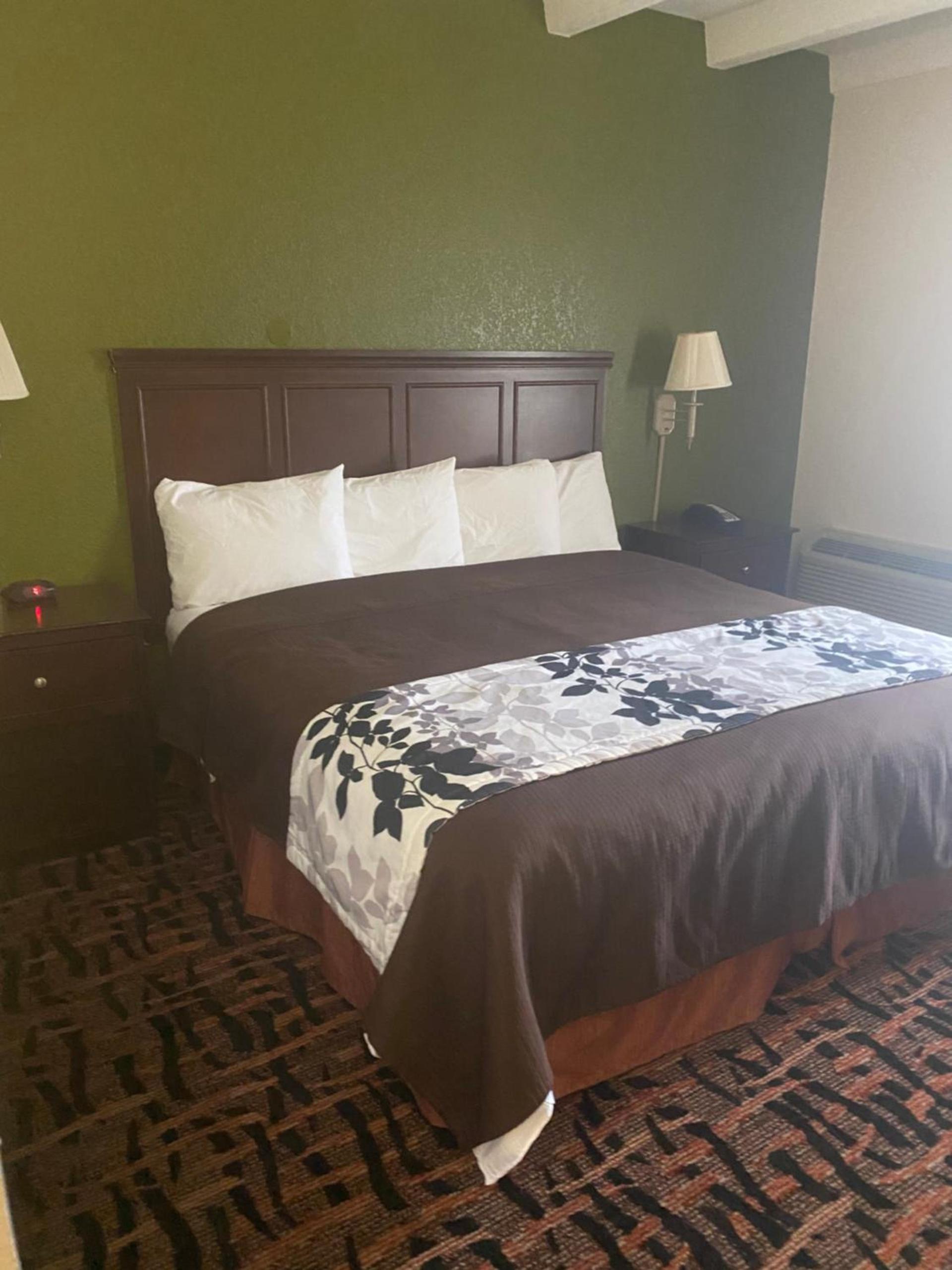 Executive Inn photo 6