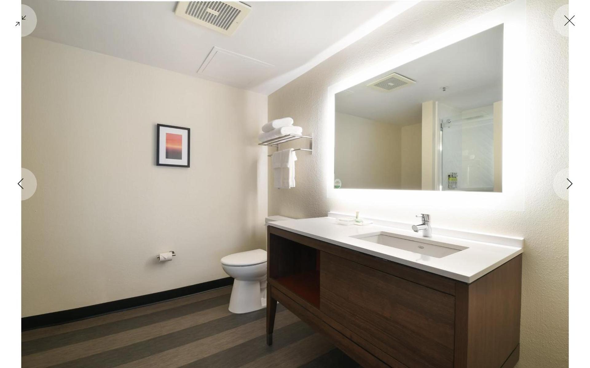 Holiday Inn Fredericksburg - Conference Center by IHG photo 9