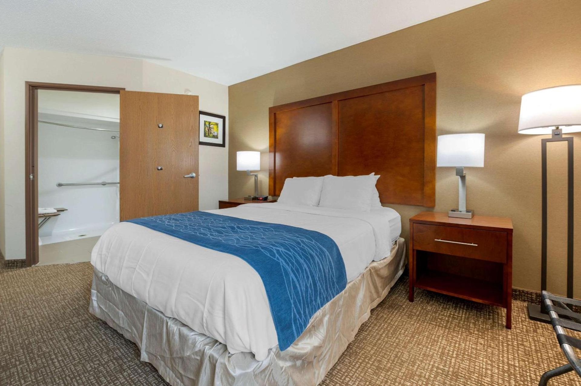 Comfort Inn Anderson South photo 8