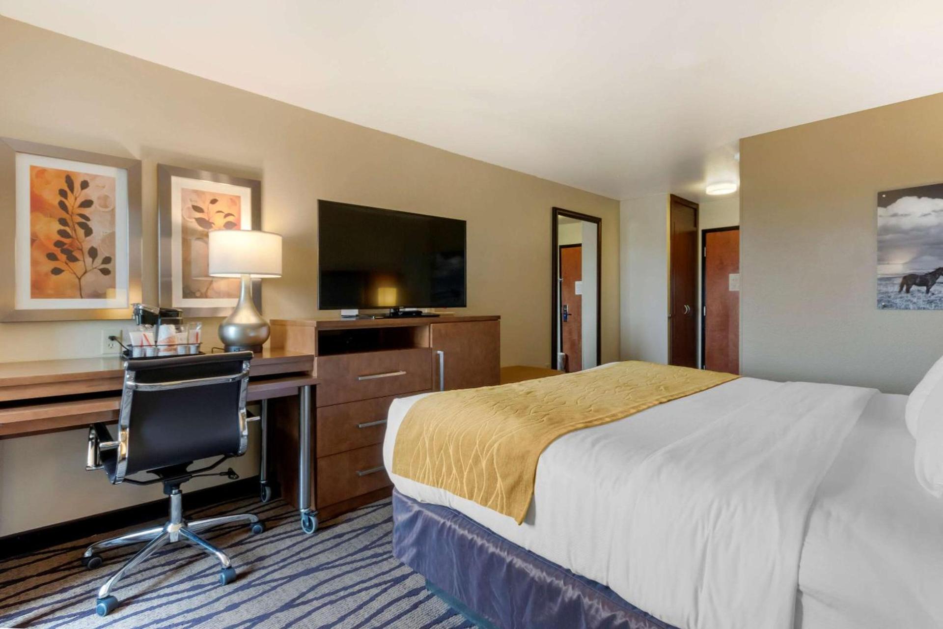Comfort Inn & Suites Market - Airport photo 13