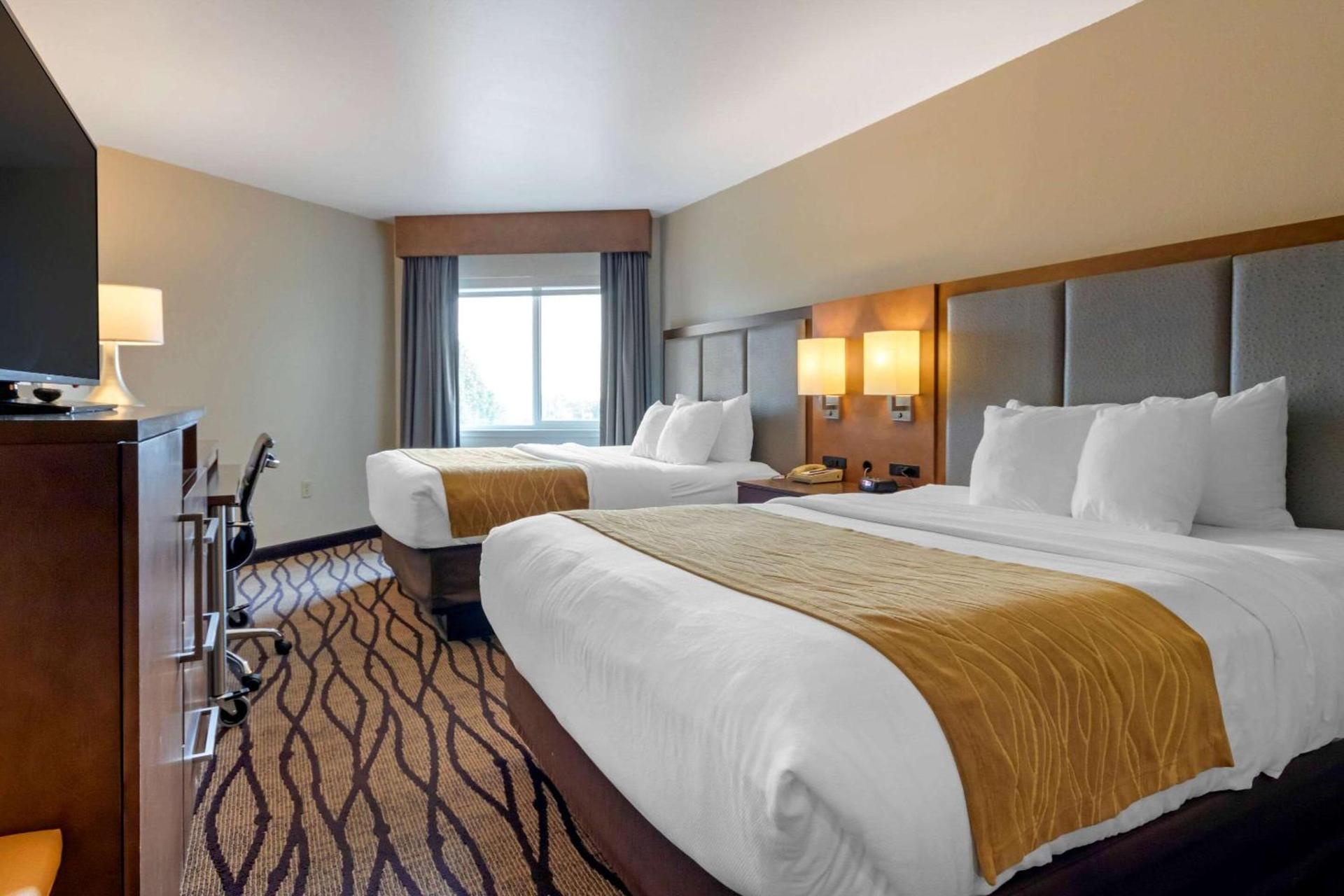 Comfort Inn & Suites Market - Airport photo 14