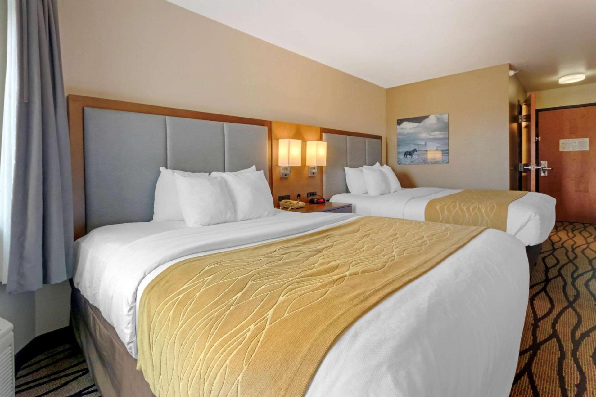 Comfort Inn & Suites Market - Airport photo 16