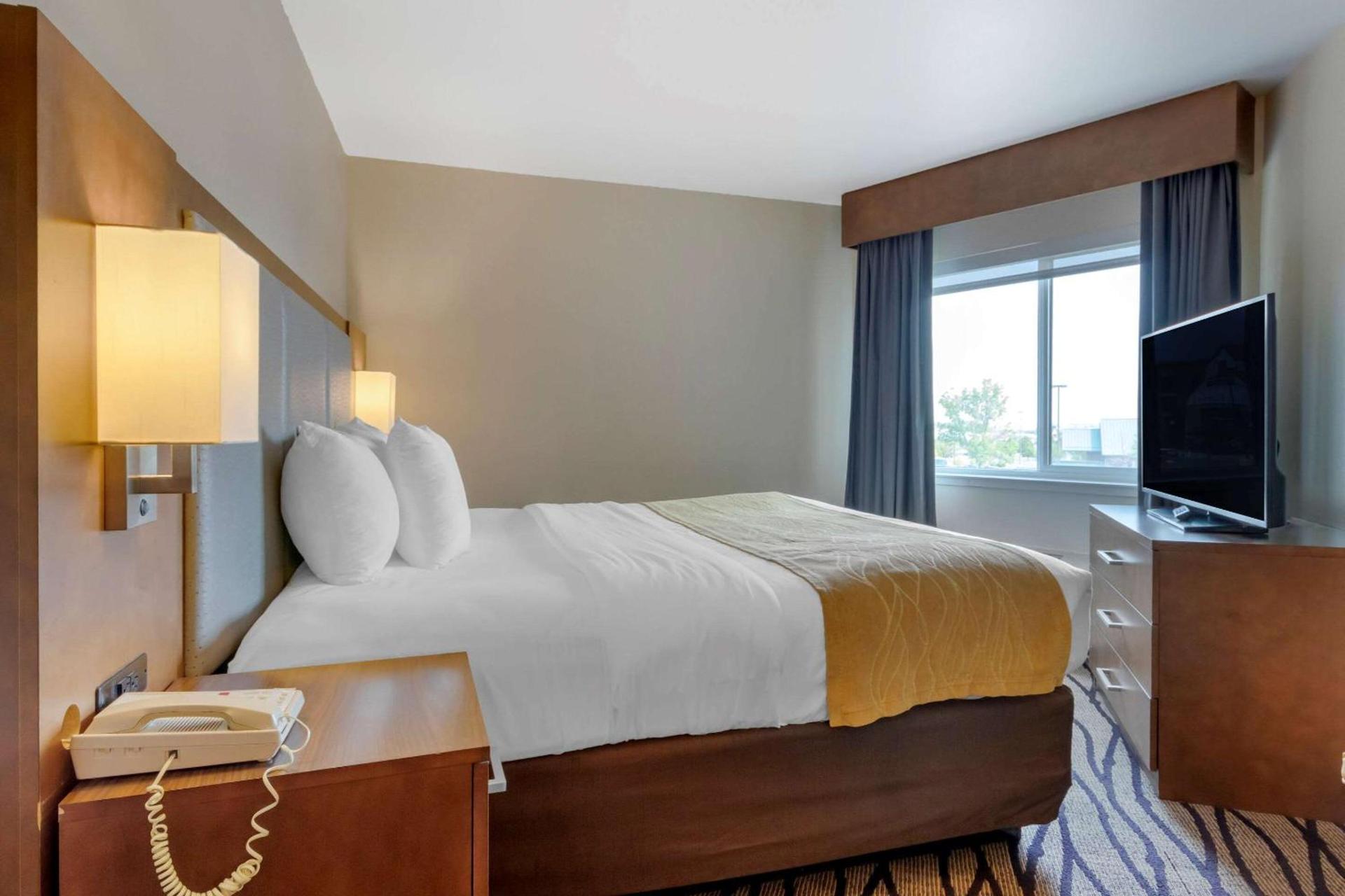 Comfort Inn & Suites Market - Airport photo 18