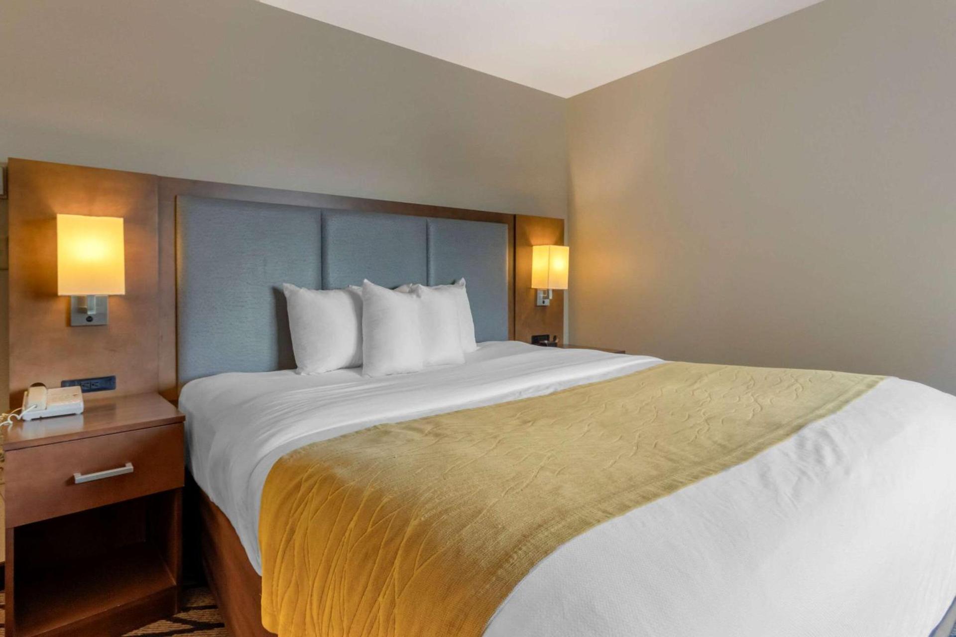 Comfort Inn & Suites Market - Airport photo 19