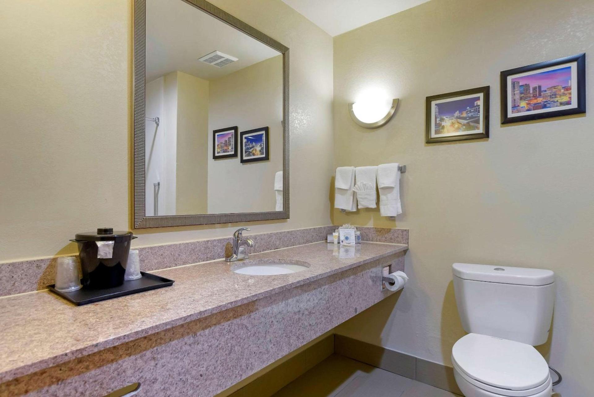 Comfort Suites Fultondale I-65 near I-22 photo 18