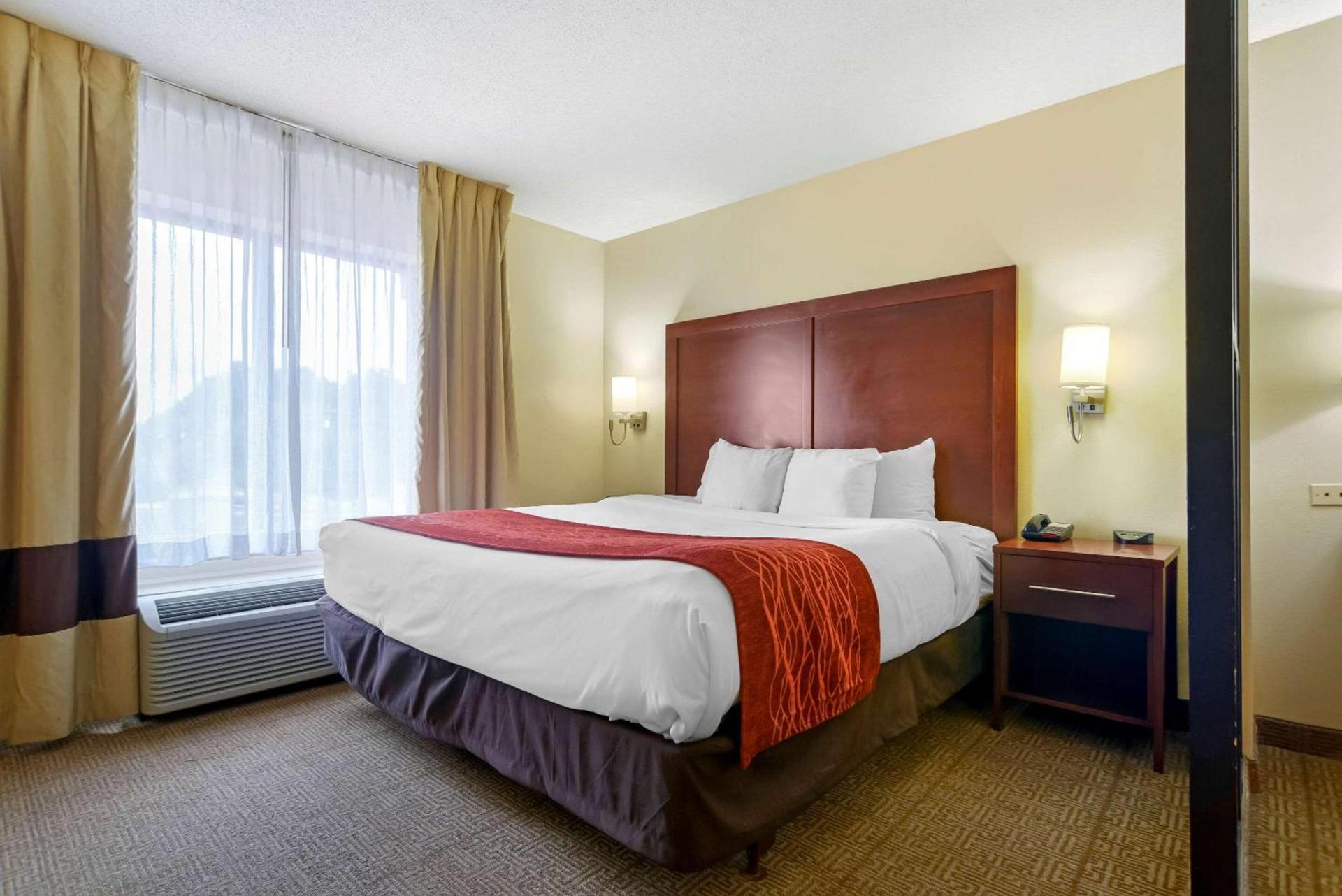Comfort Suites Fultondale I-65 near I-22 photo 19