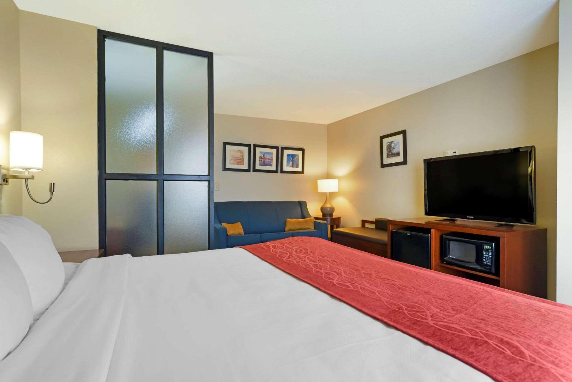 Comfort Suites Fultondale I-65 near I-22 photo 21