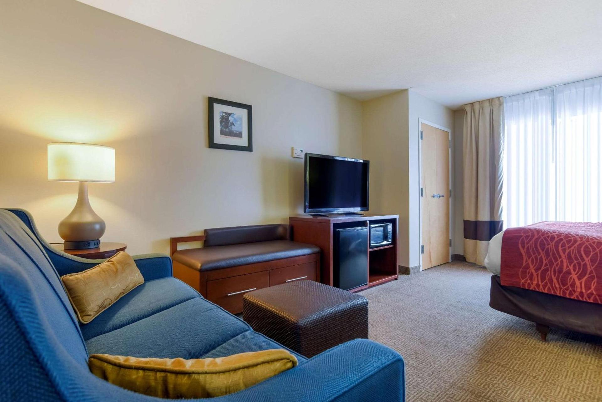 Comfort Suites Fultondale I-65 near I-22 photo 22