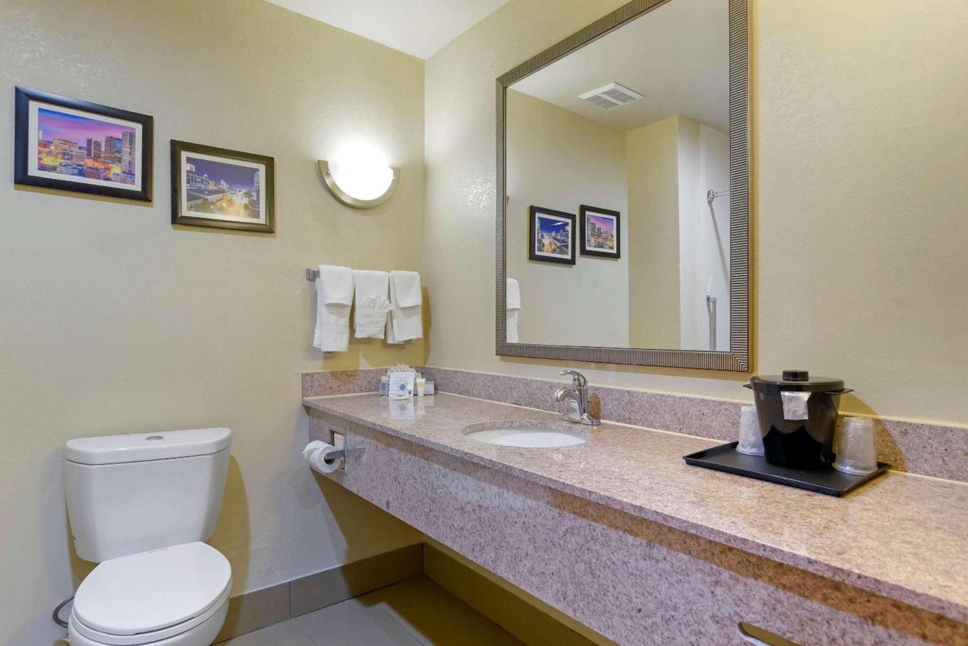 Comfort Suites Fultondale I-65 near I-22 photo 23