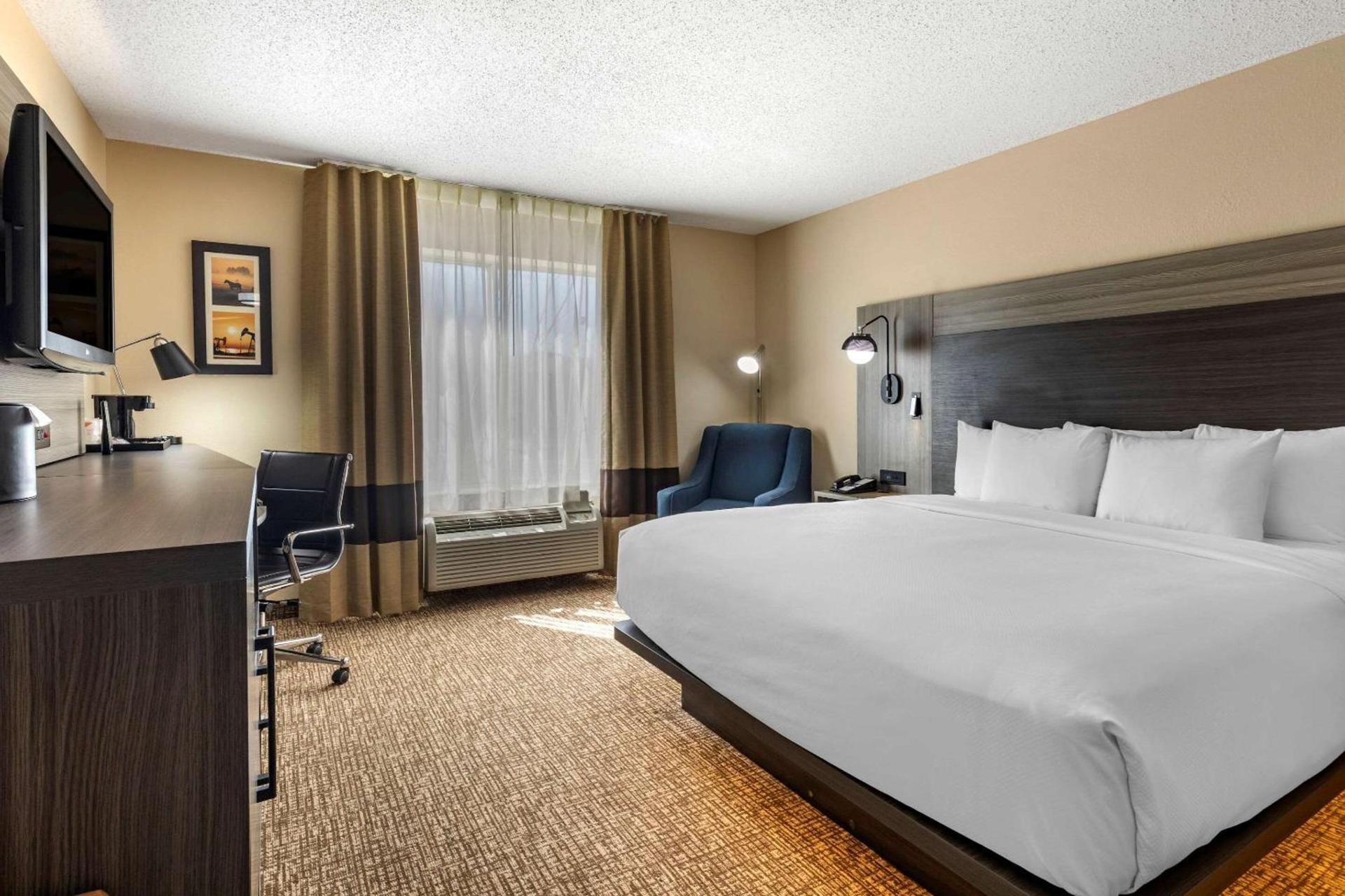 Comfort Inn & Suites North Dallas-Addison photo 12