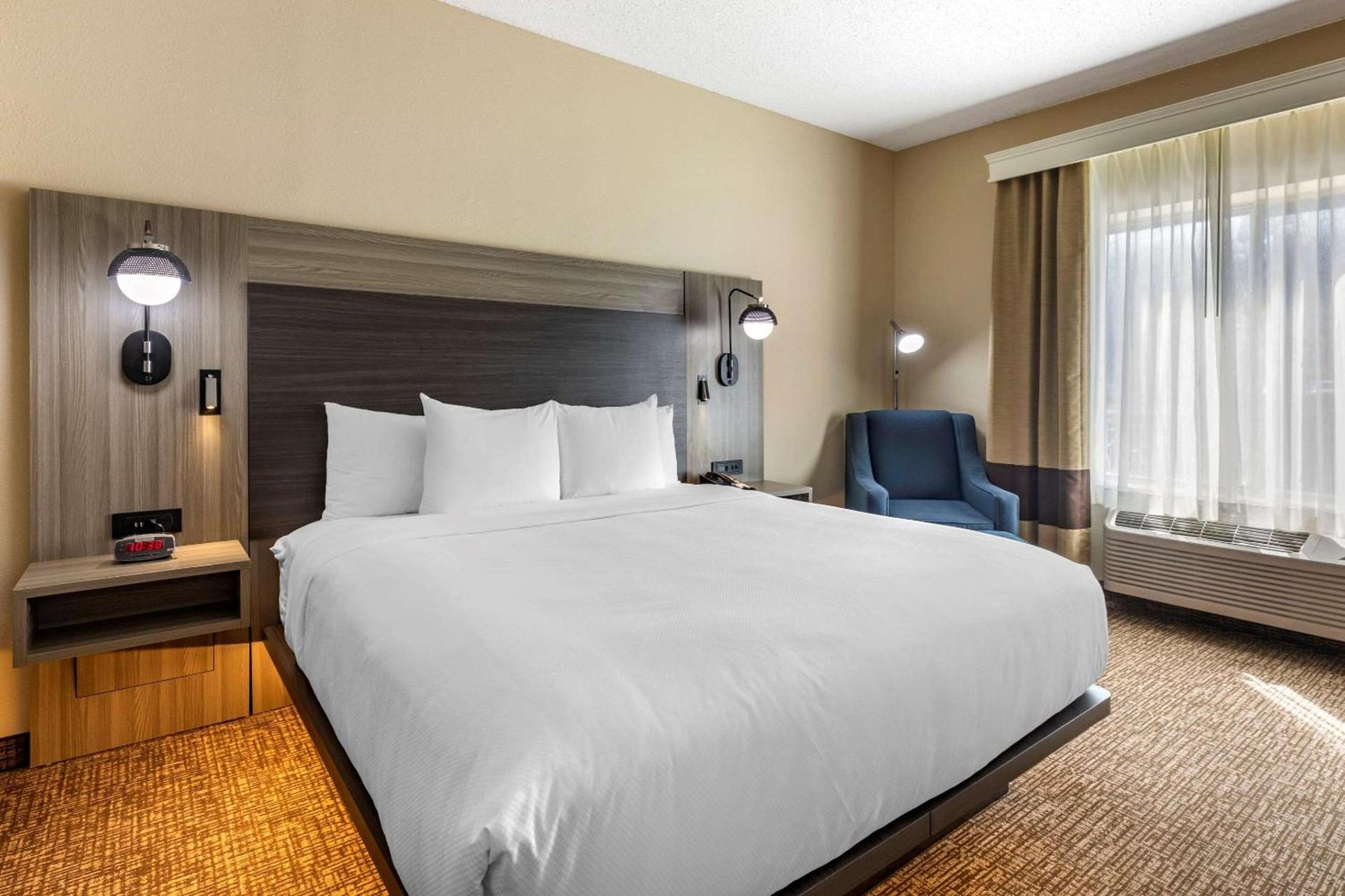 Comfort Inn & Suites North Dallas-Addison photo 16