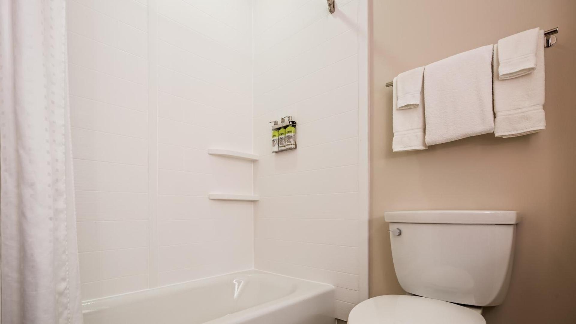 Holiday Inn Express & Suites Detroit - Farmington Hills by IHG photo 31