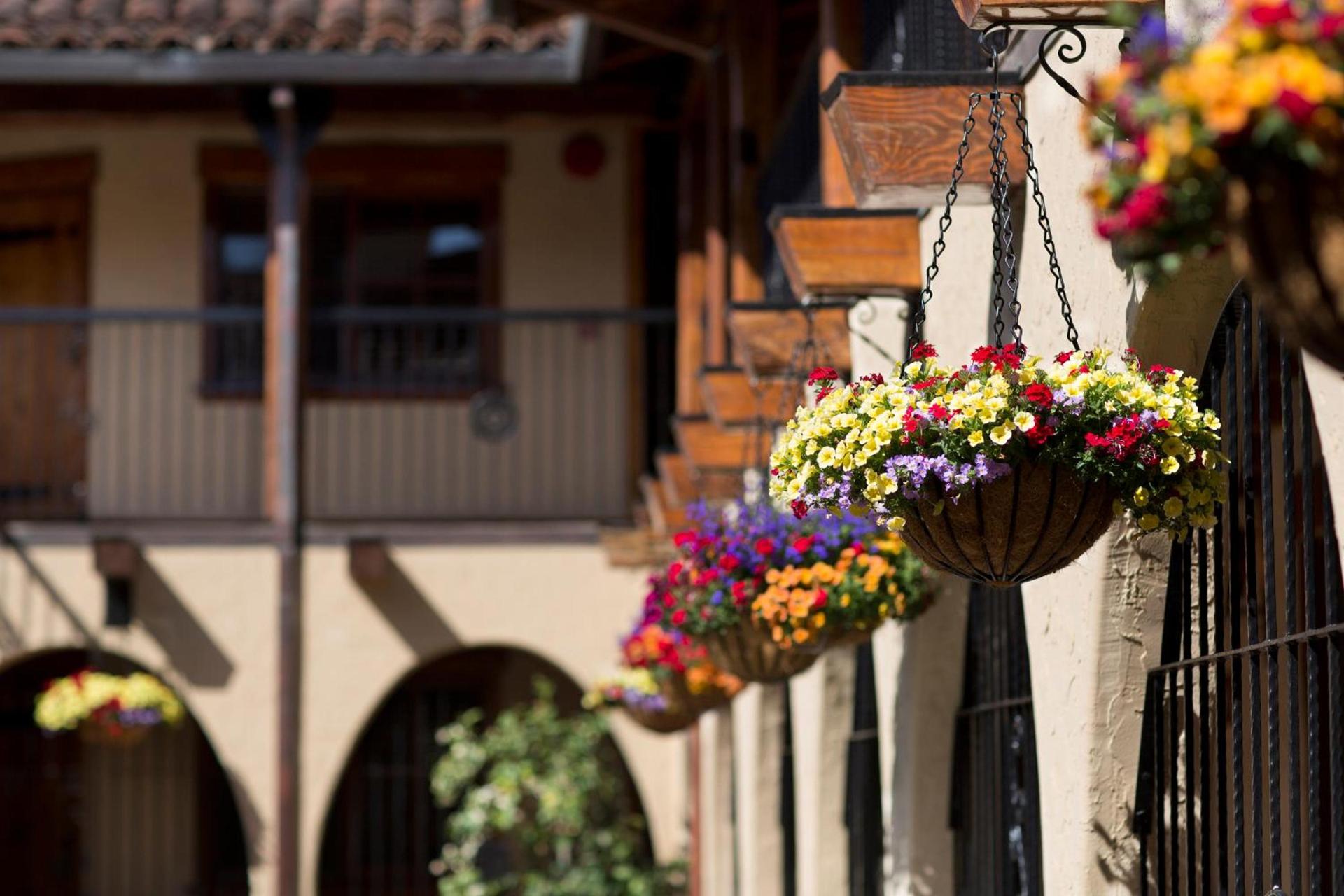 Rancho Caymus Inn photo 8