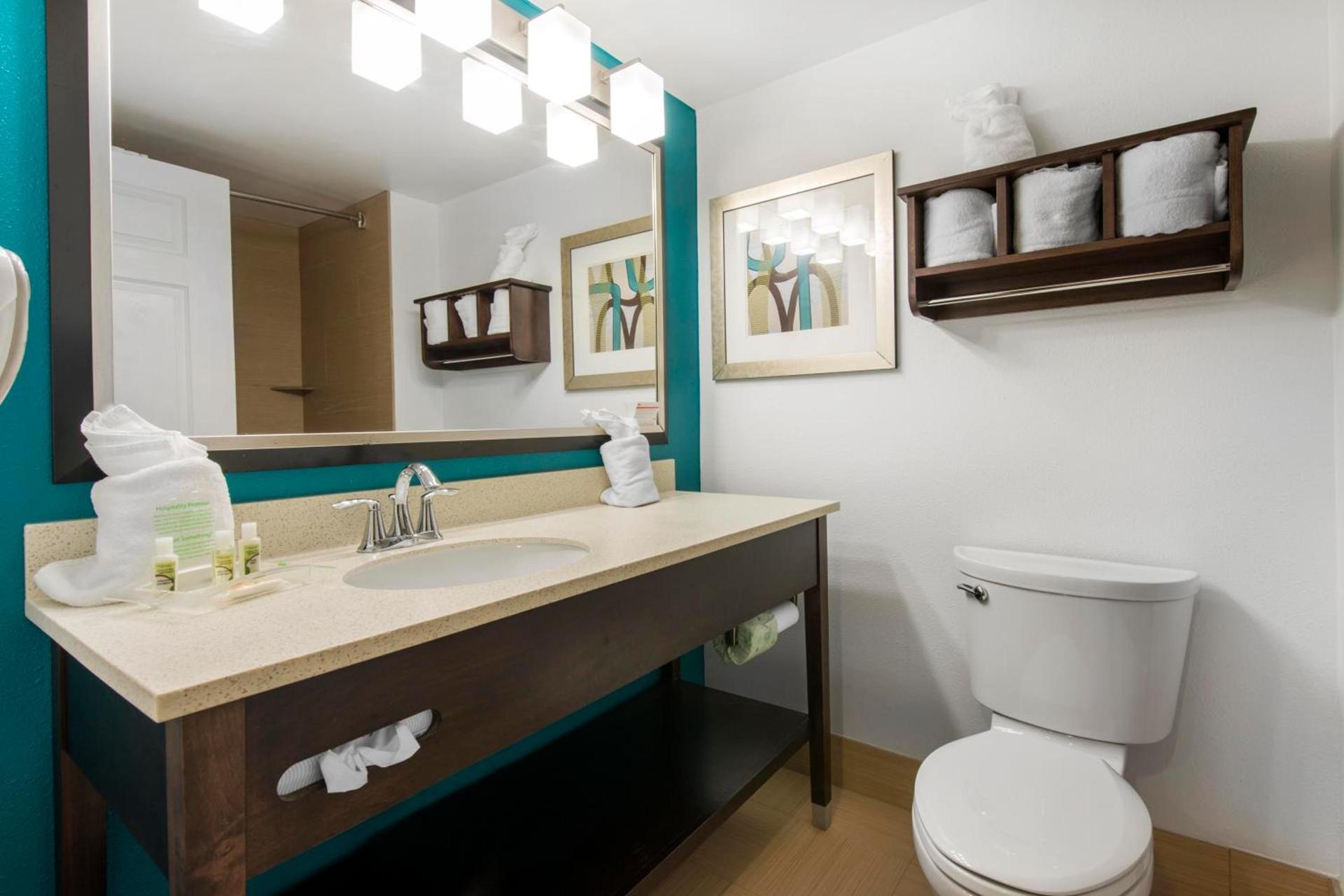 Holiday Inn Savannah South - I-95 Gateway by IHG photo 25