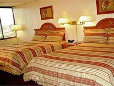 Amsterdam Hotel photo 15