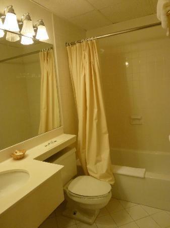 Amsterdam Hotel photo 16