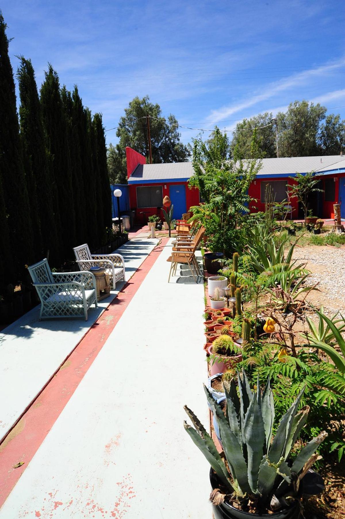 Safari Motor Inn - Joshua Tree photo 35