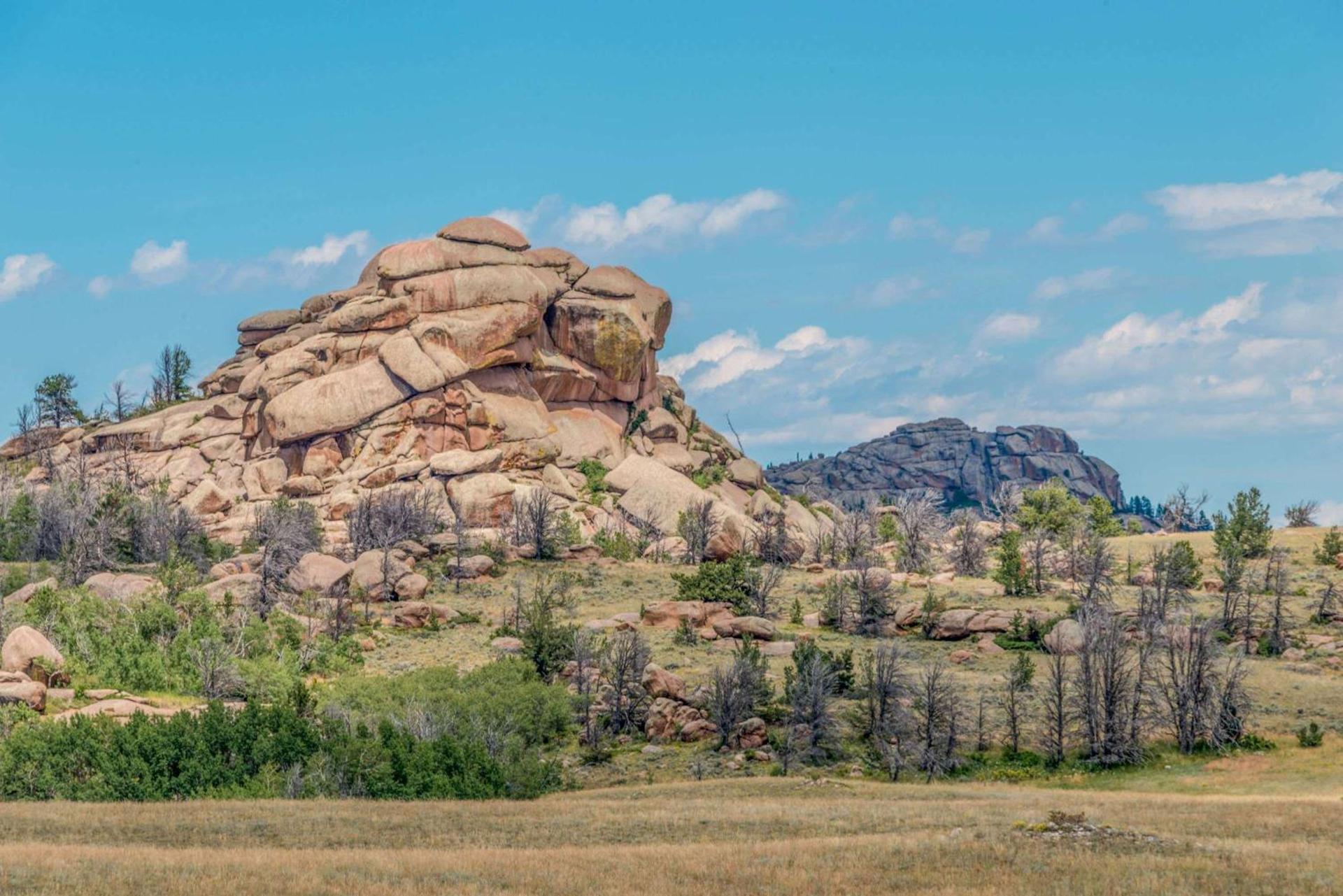 Super 8 by Wyndham Laramie photo 8