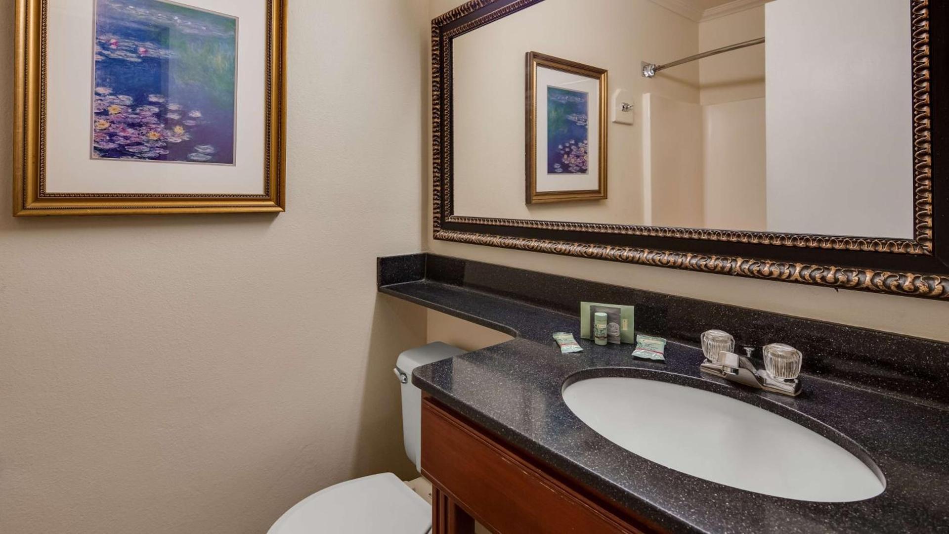 Best Western Lapeer Inn photo 37