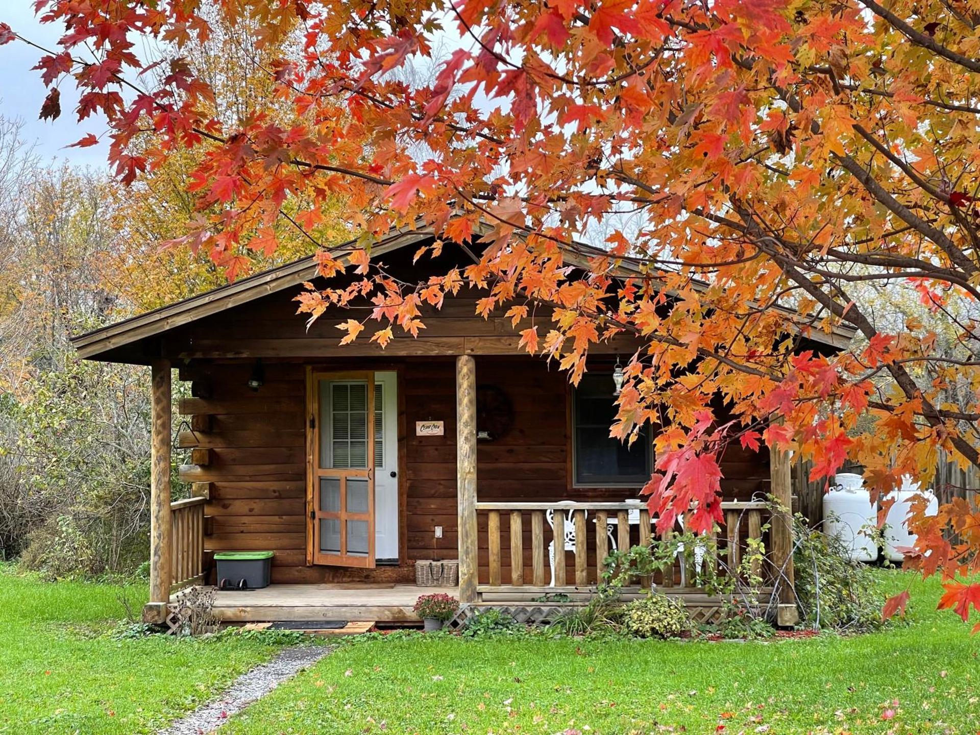 Mill Creek Cabins photo 5