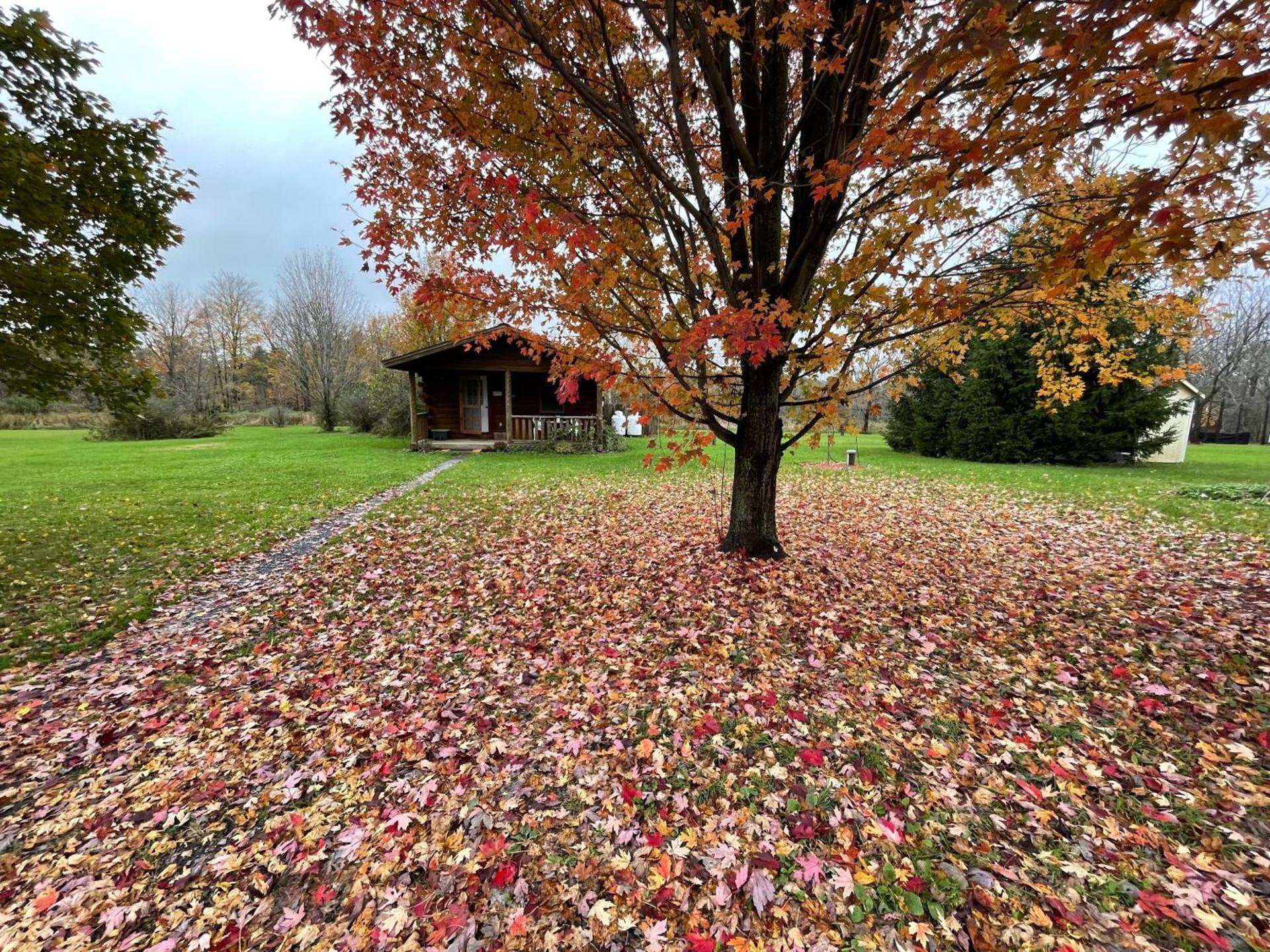 Mill Creek Cabins photo 16