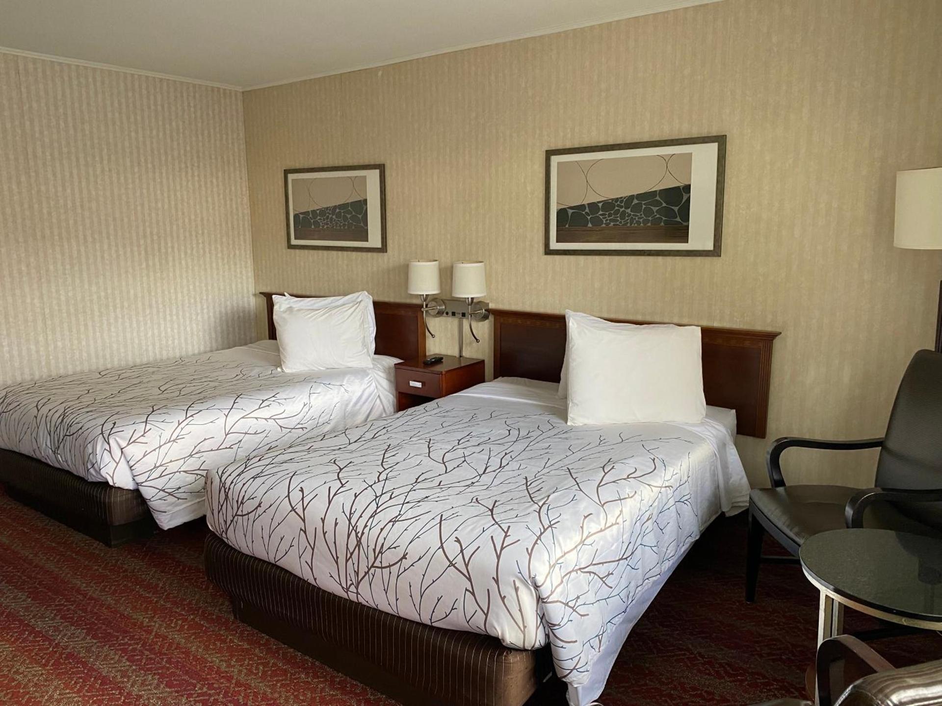 The Black Mountain Inn photo 11