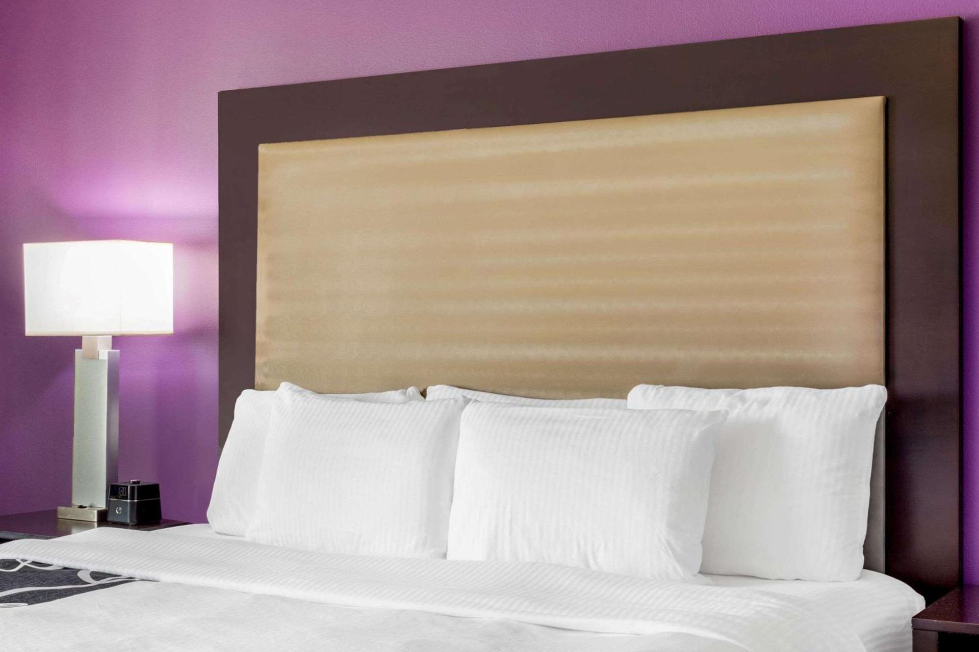 La Quinta by Wyndham McAllen Convention Center photo 15