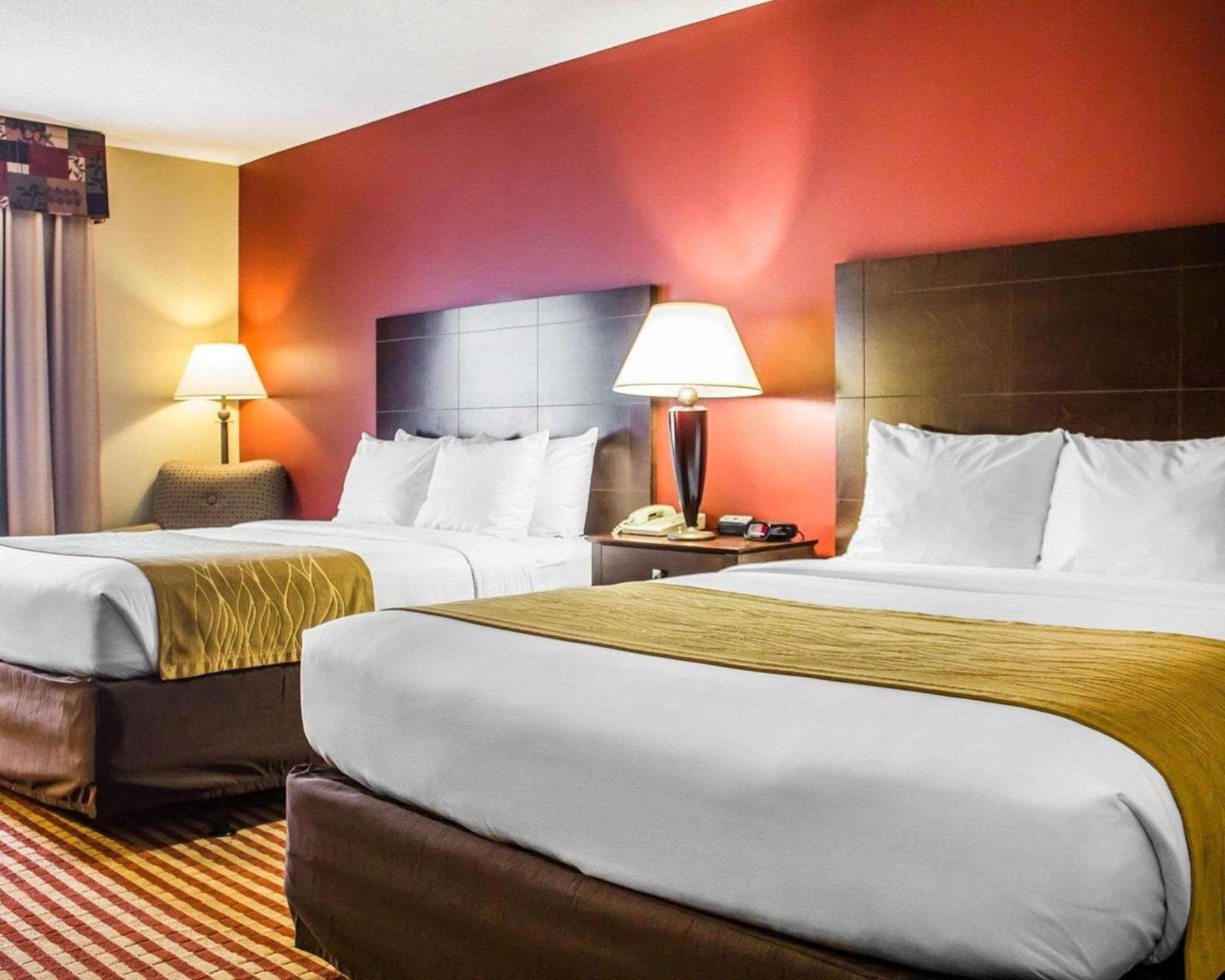 Comfort Inn & Suites photo 3