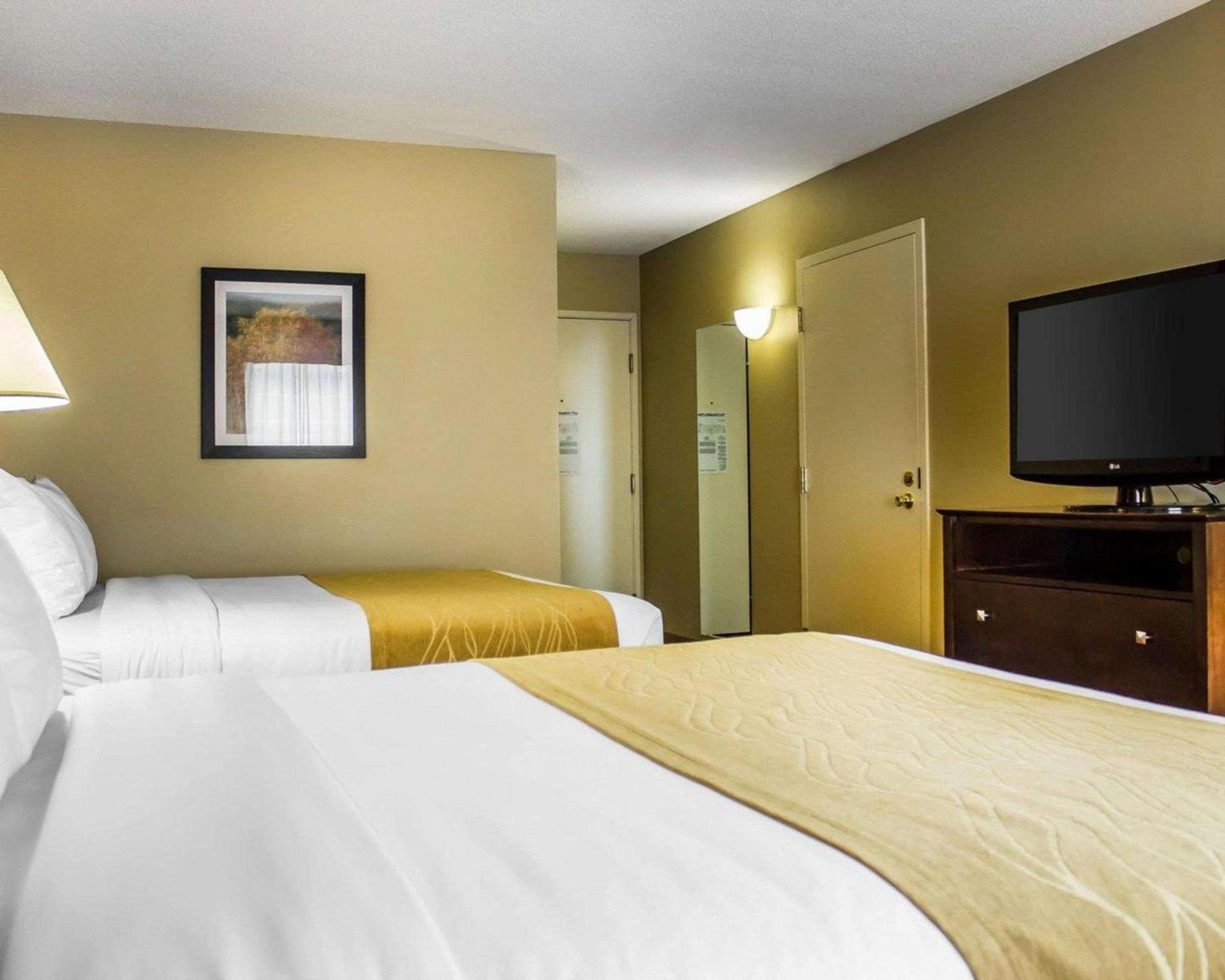 Comfort Inn & Suites photo 5