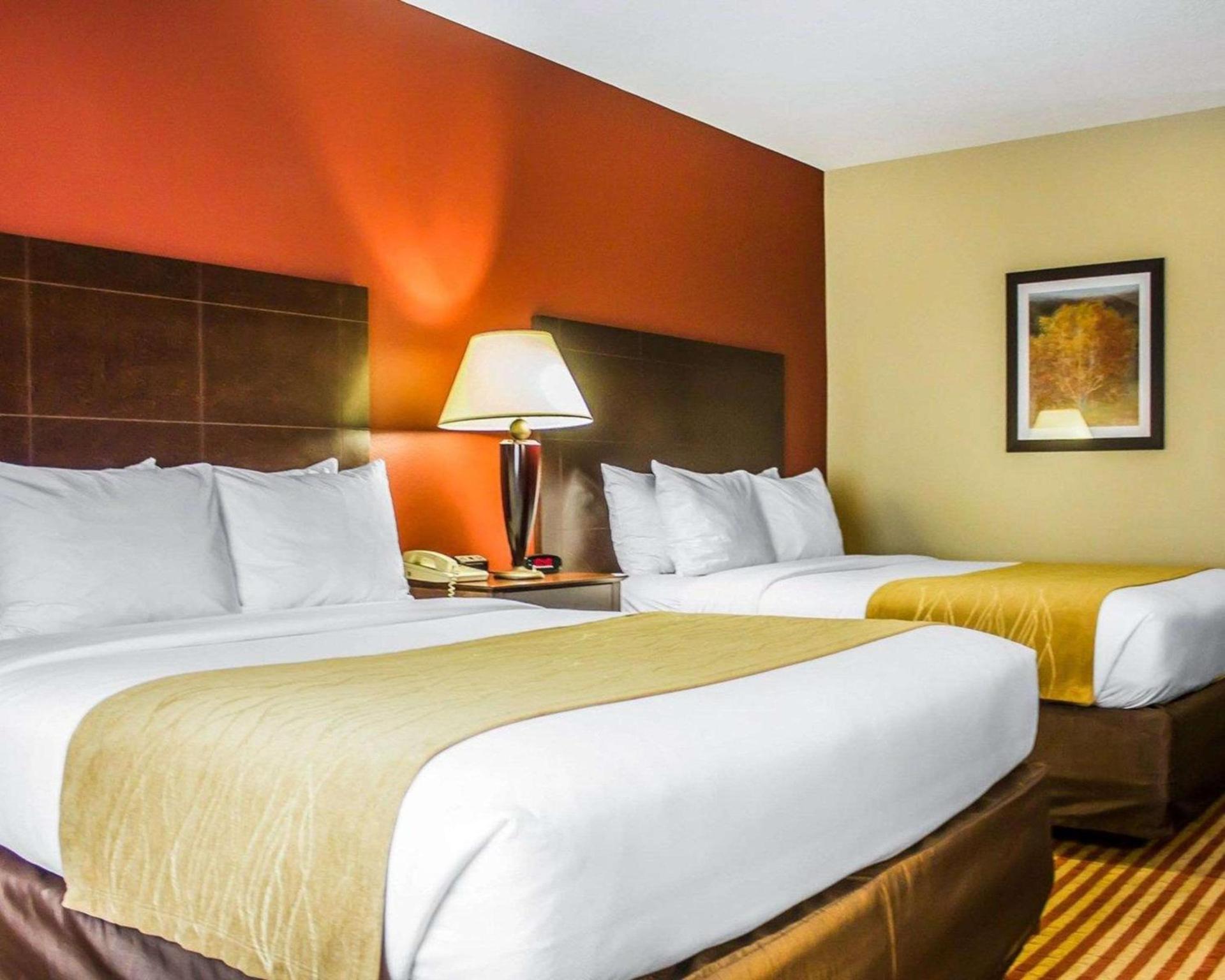 Comfort Inn & Suites photo 6