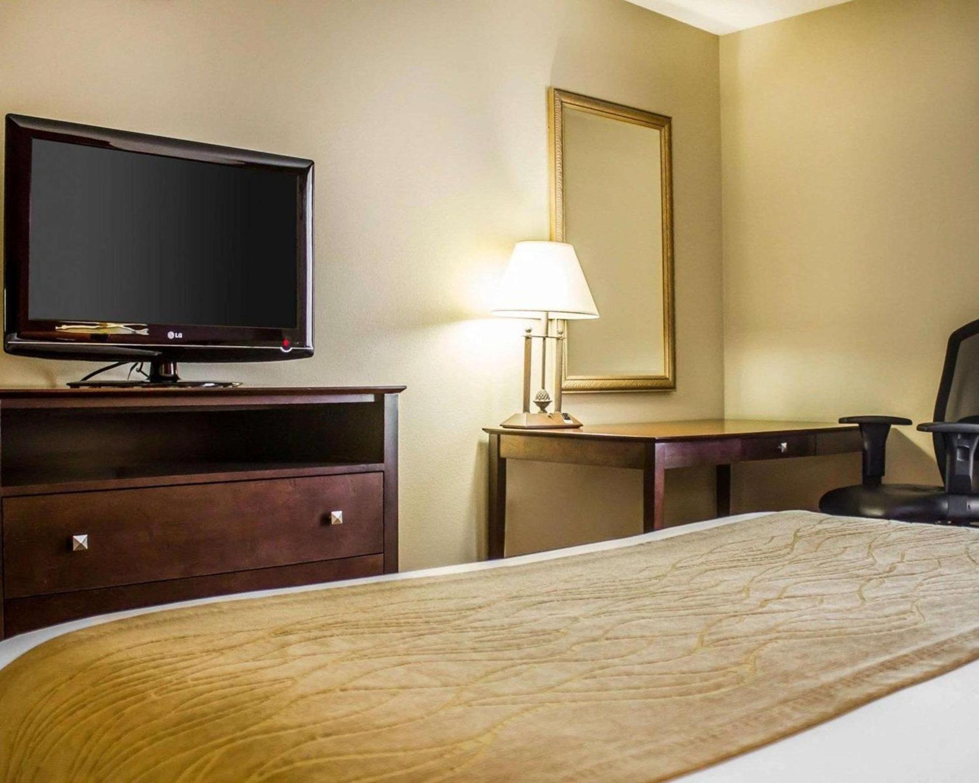 Comfort Inn & Suites photo 11