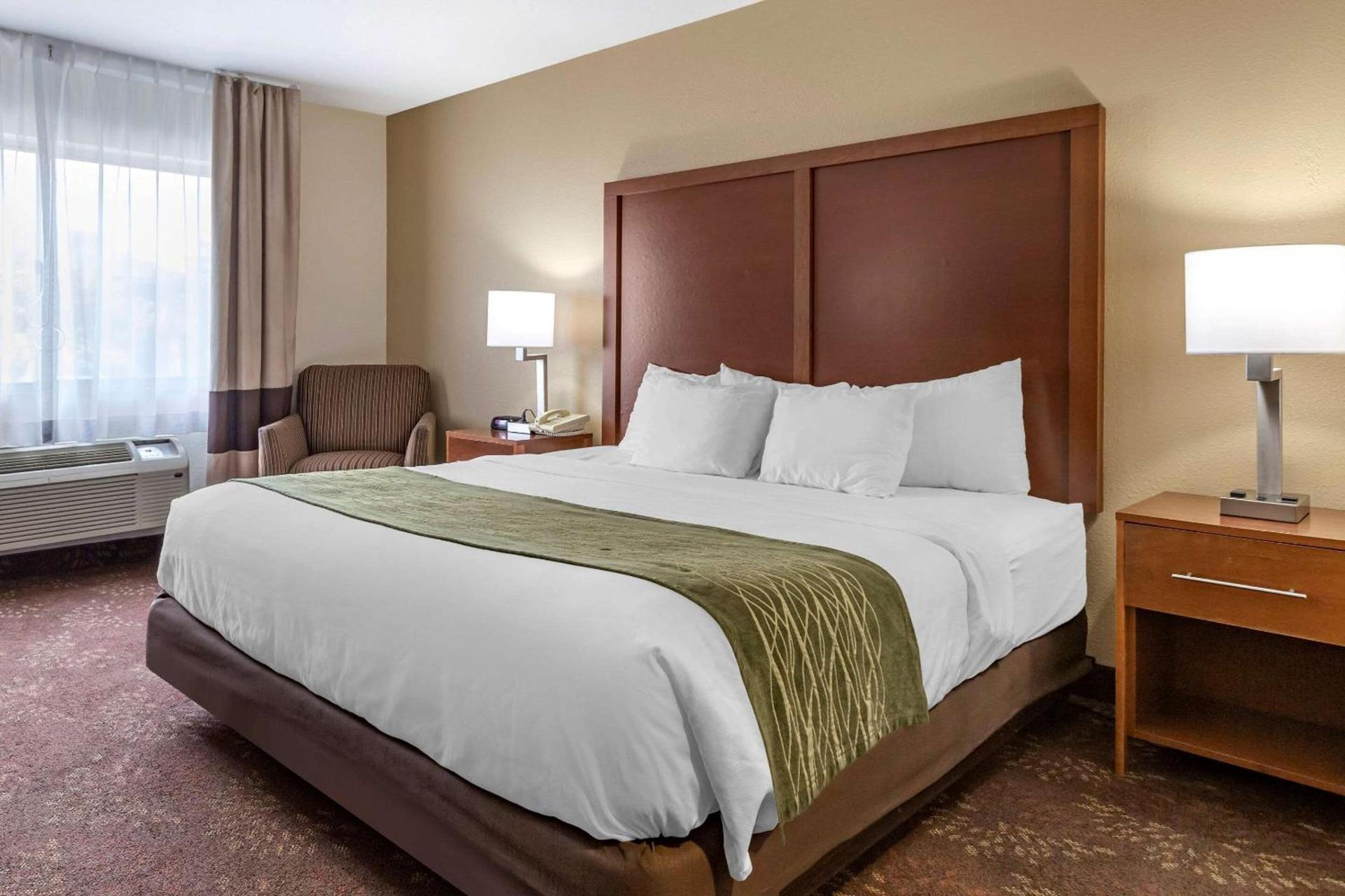 Comfort Inn Okemos - East Lansing photo 10
