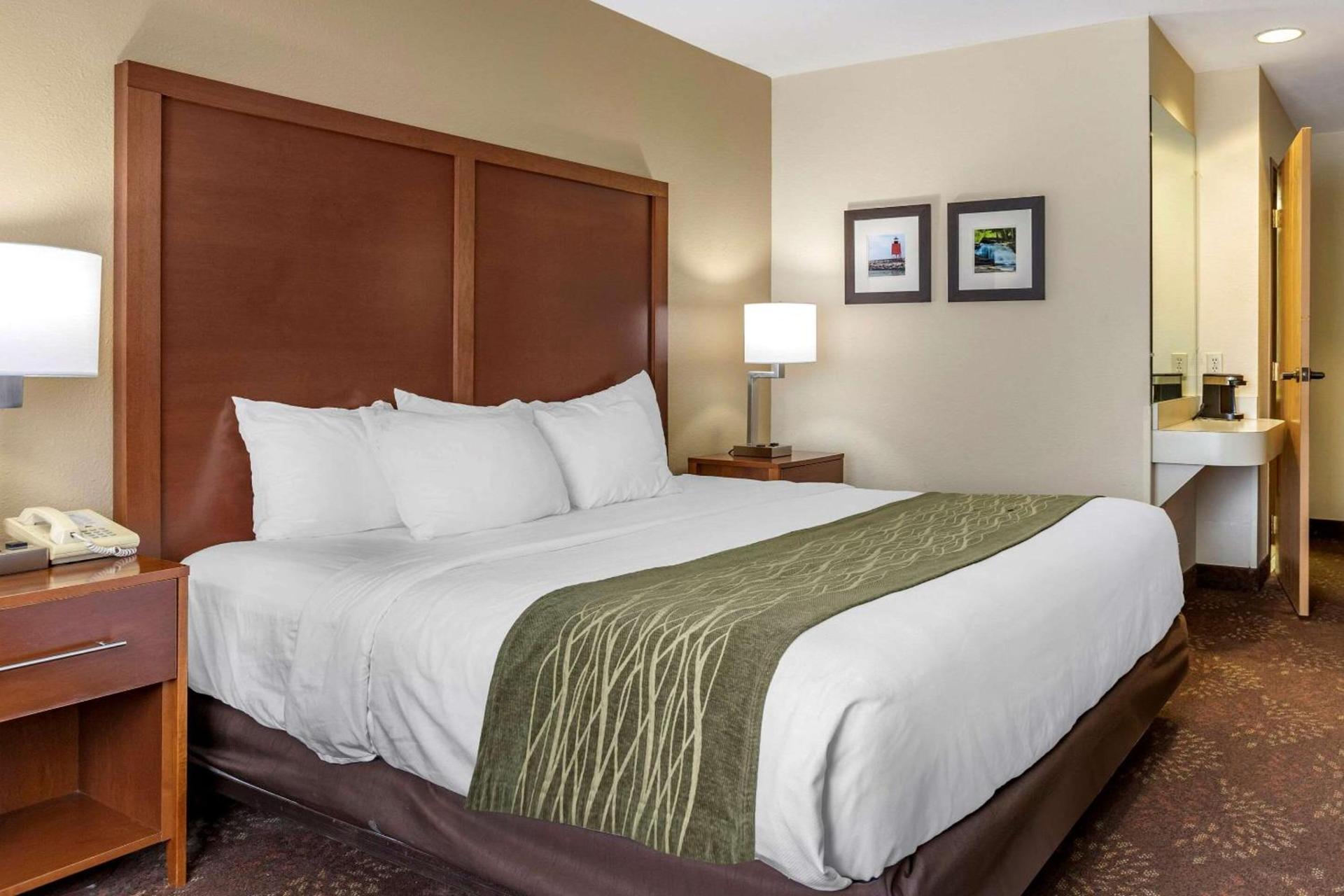 Comfort Inn Okemos - East Lansing photo 12