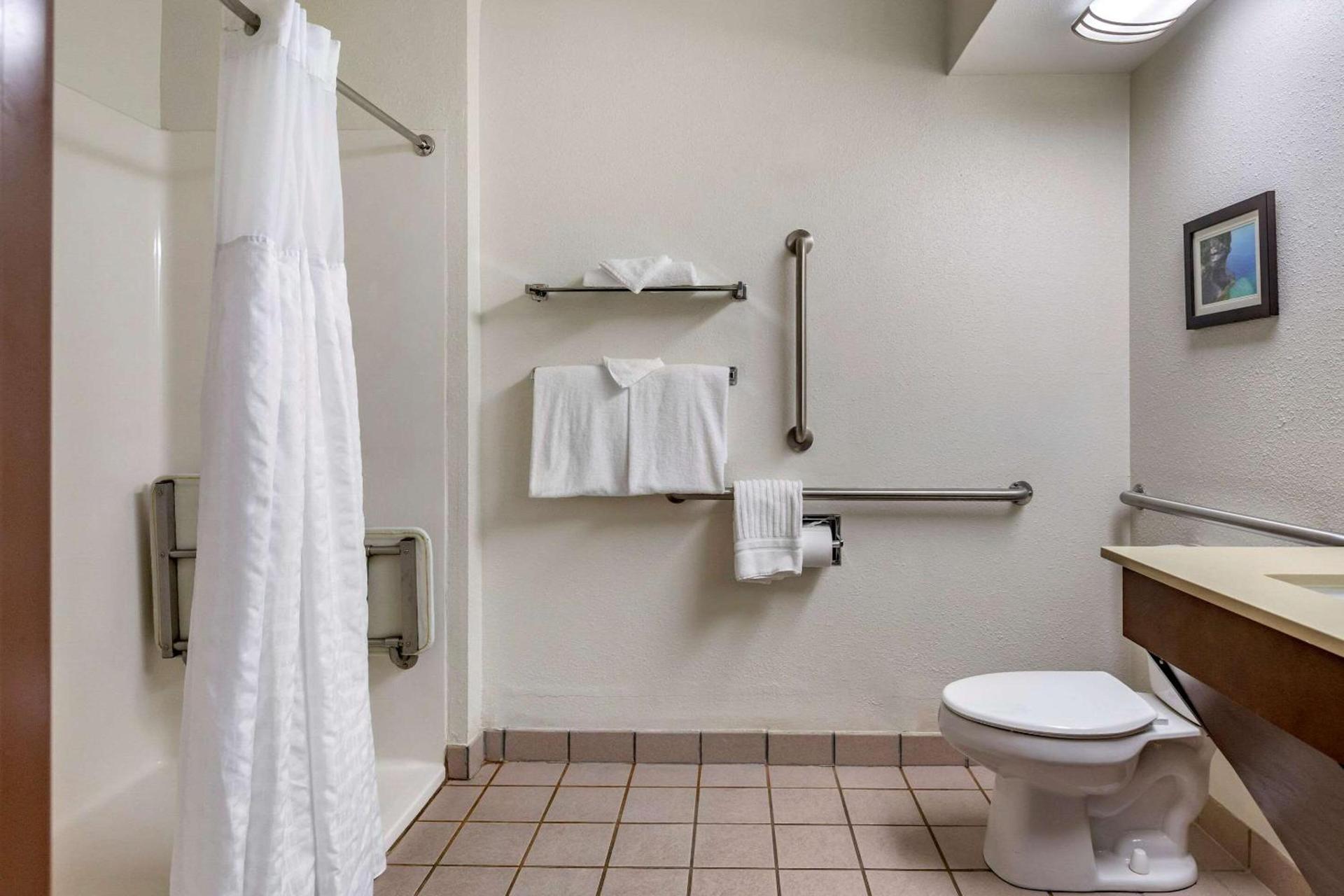 Comfort Inn Okemos - East Lansing photo 13
