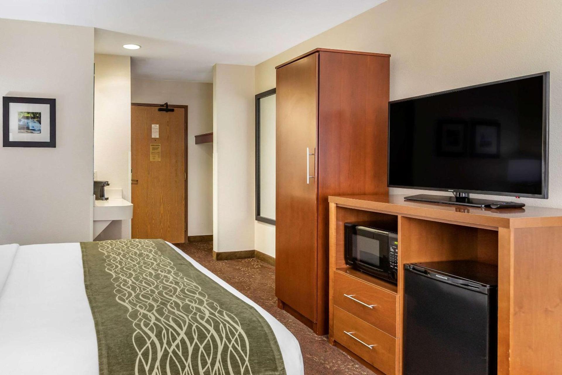 Comfort Inn Okemos - East Lansing photo 19