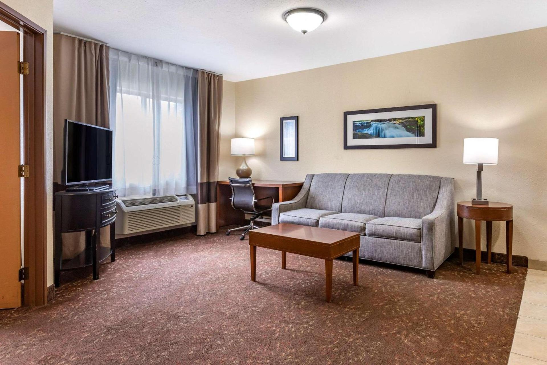 Comfort Inn Okemos - East Lansing photo 20