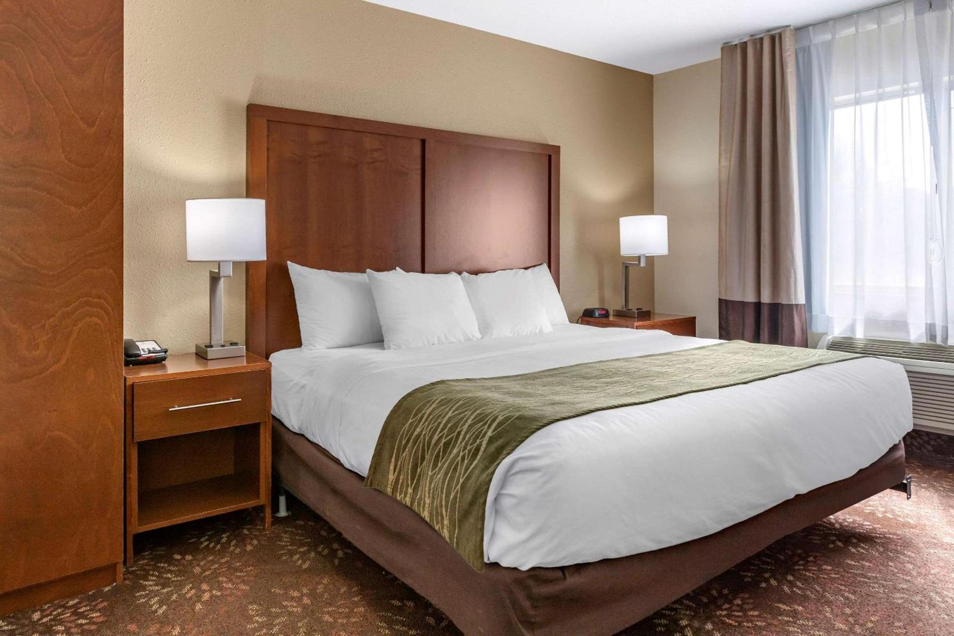 Comfort Inn Okemos - East Lansing photo 21