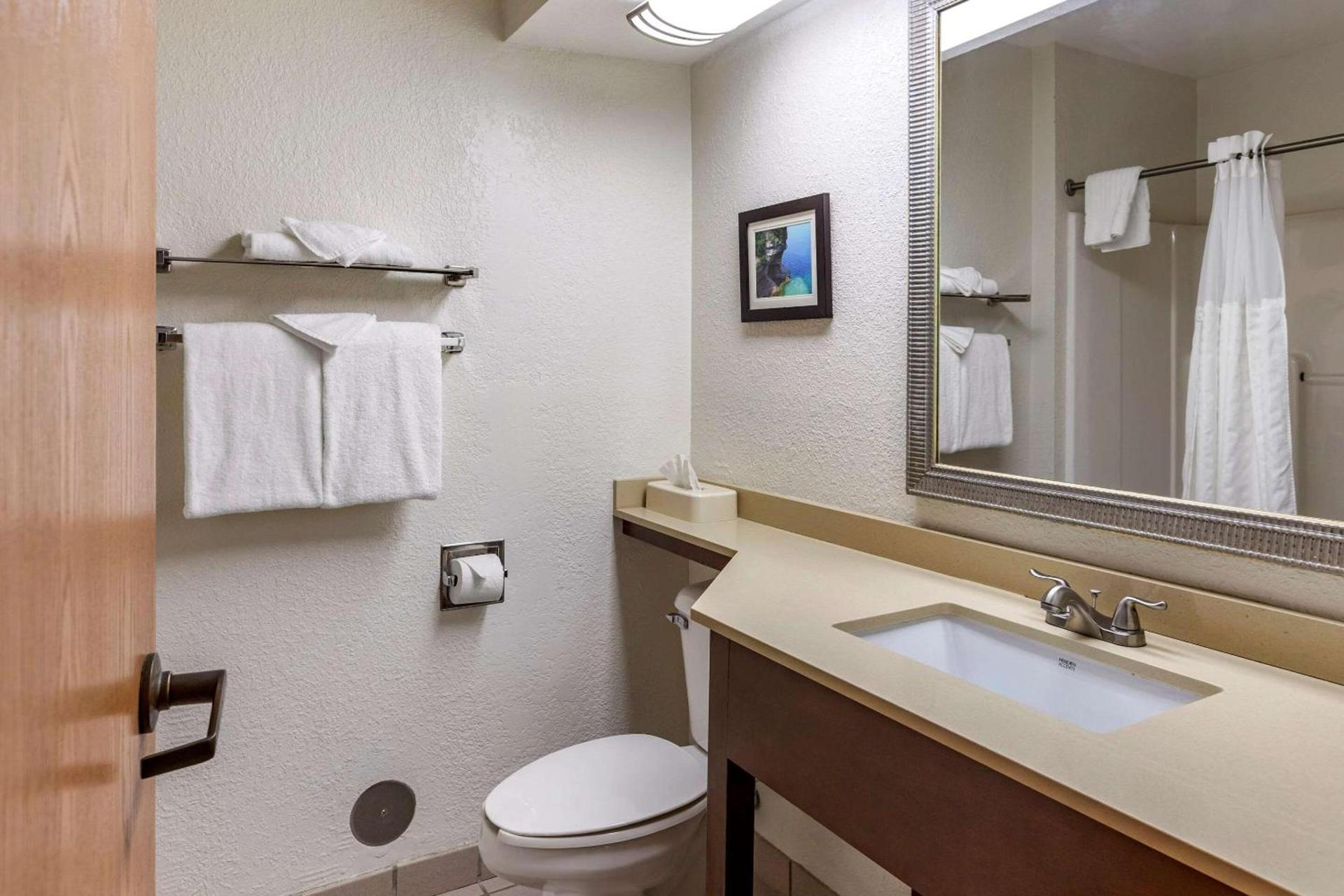 Comfort Inn Okemos - East Lansing photo 24