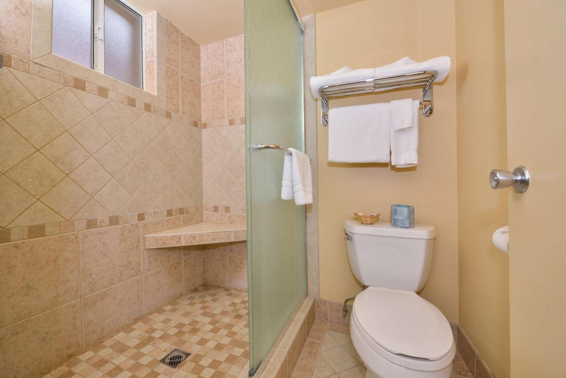 Best Western Plus King's Inn and Suites photo 57
