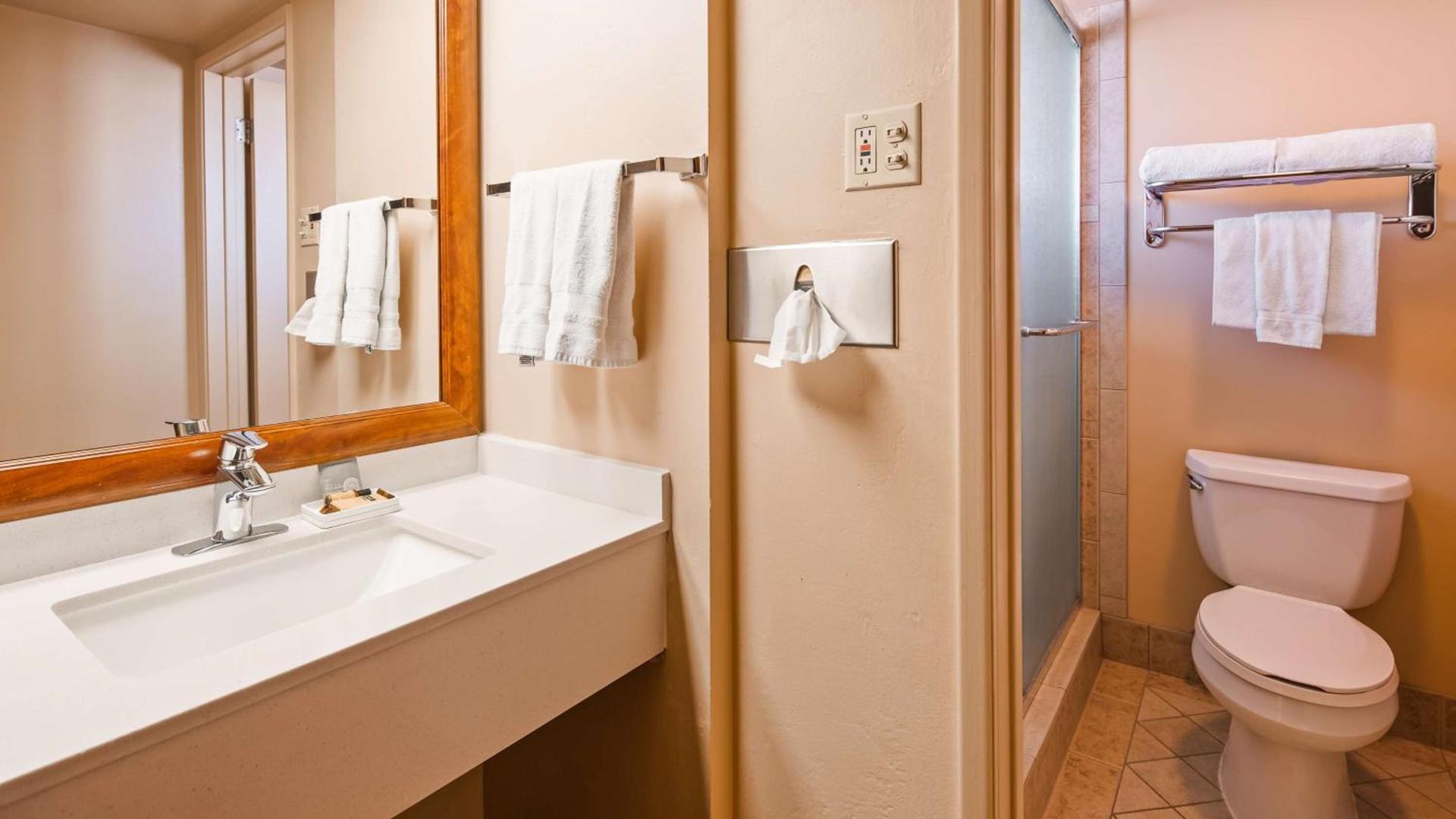 Best Western Plus King's Inn and Suites photo 59